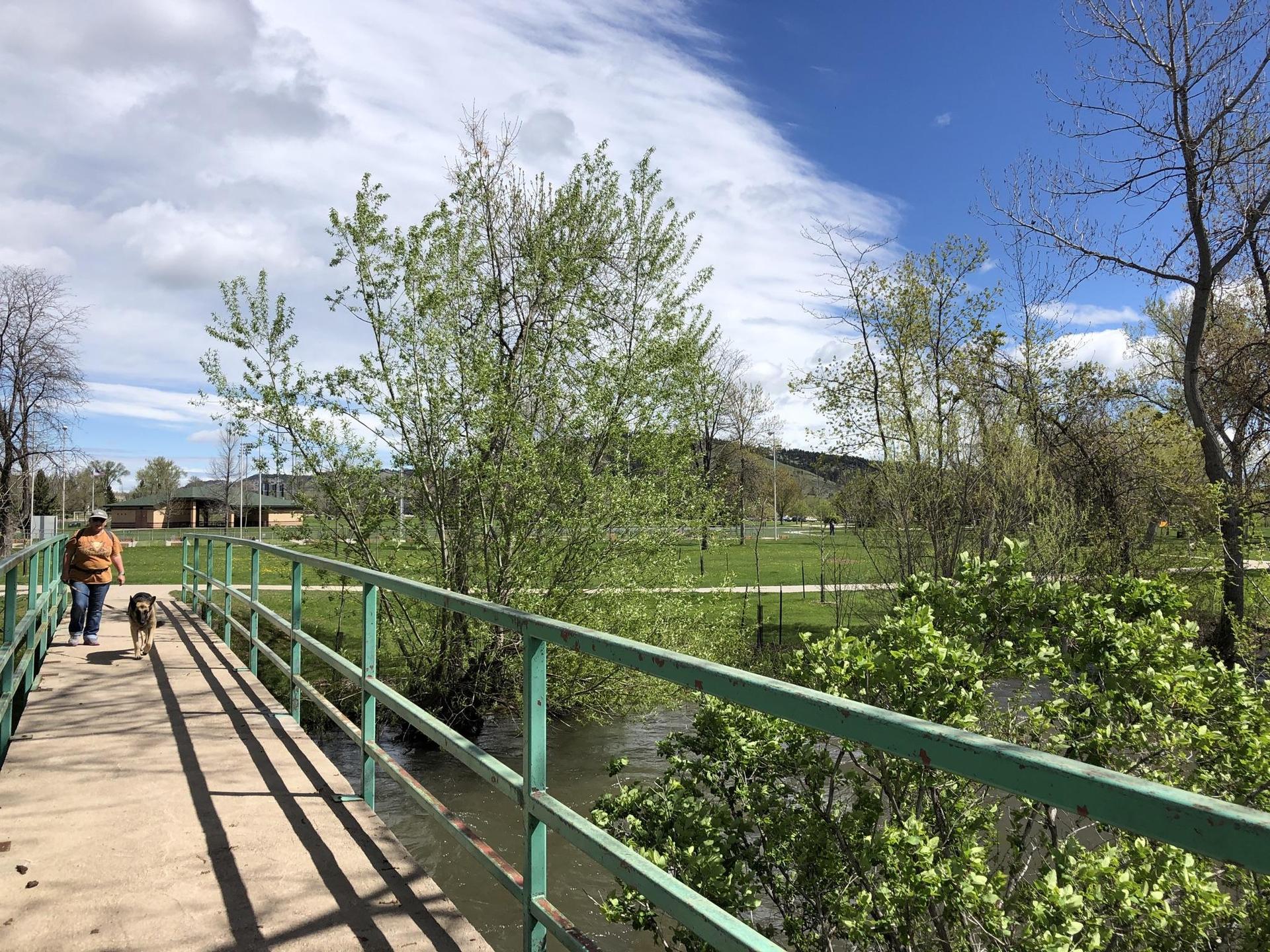 Person and dog walk across a green bridge over water, bright day.