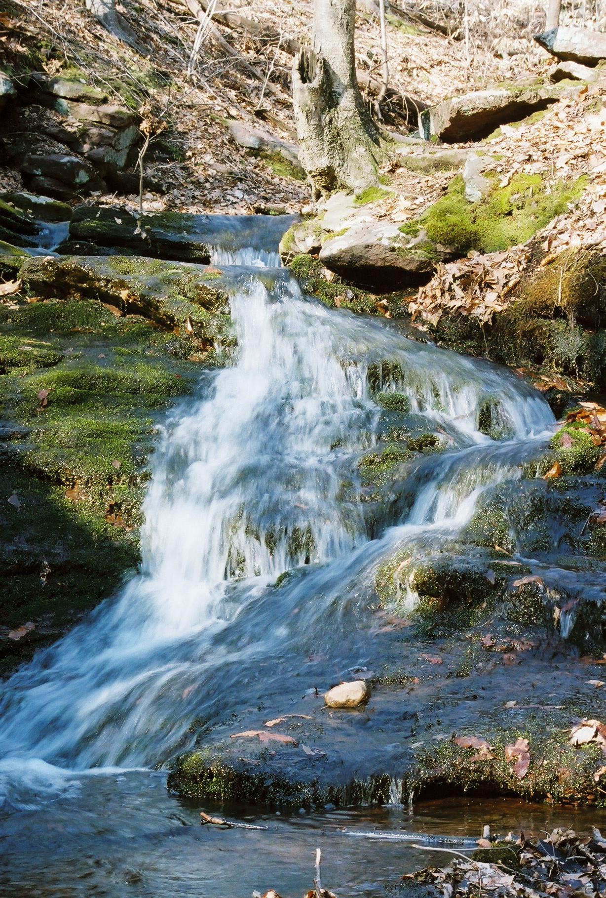 A small waterfall cascades over mossy rocks in a sunlit, wooded landscape.