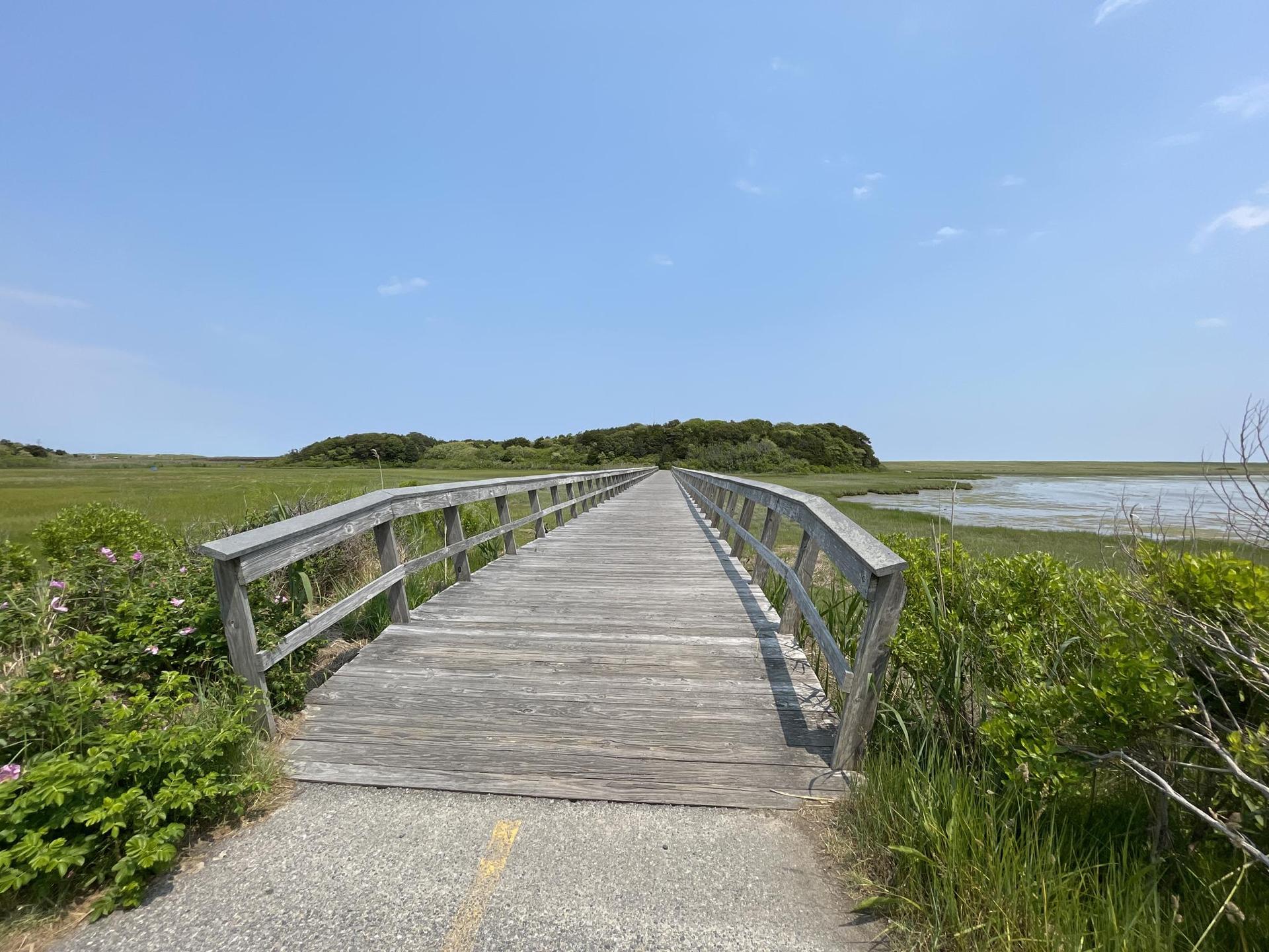 Long wooden boardwalk stretching over a green marsh under a clear blue sky.
