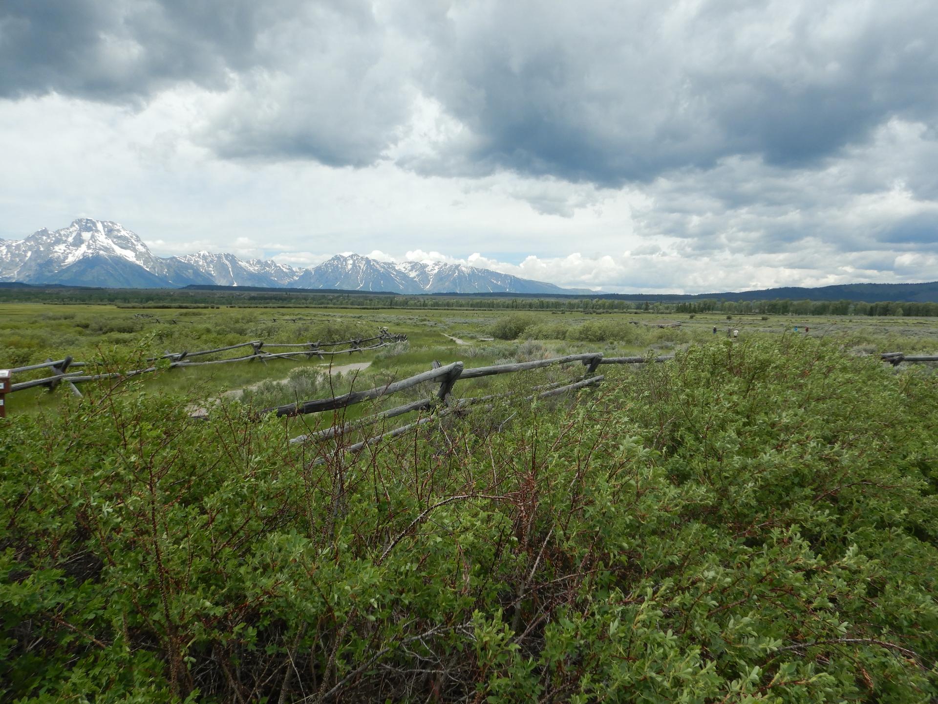 Vast green field with wooden fence, snow-capped mountains under cloudy sky.