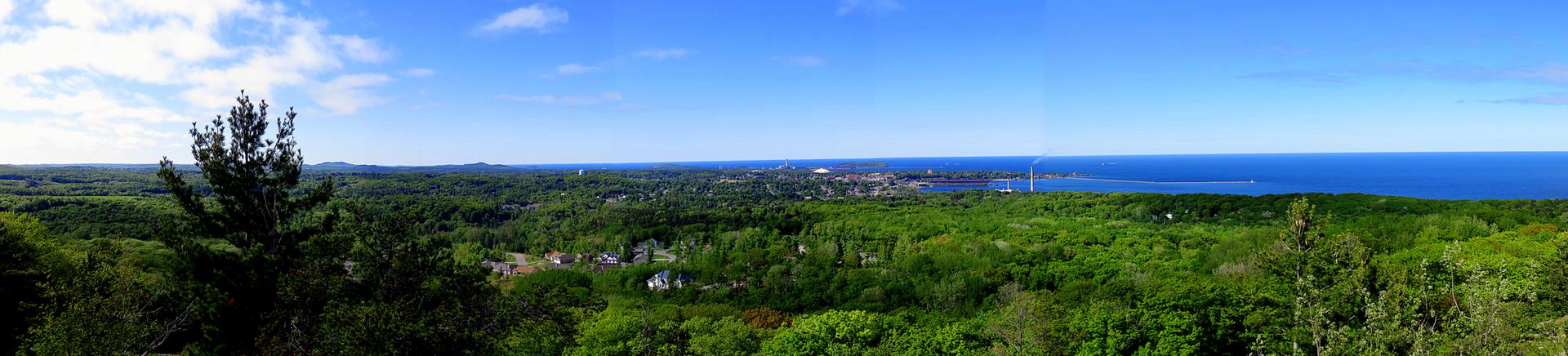 Panoramic view of a vast green forest, distant town, and blue water under clear sky.