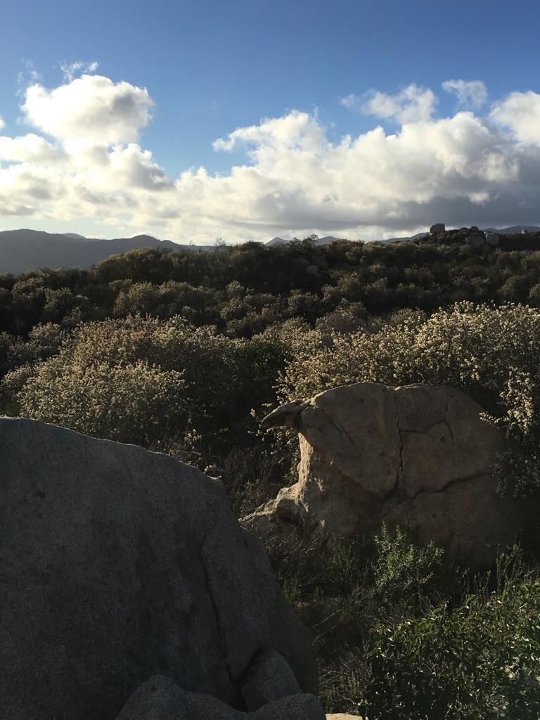 Rocky landscape with low brush under a partly cloudy sky.