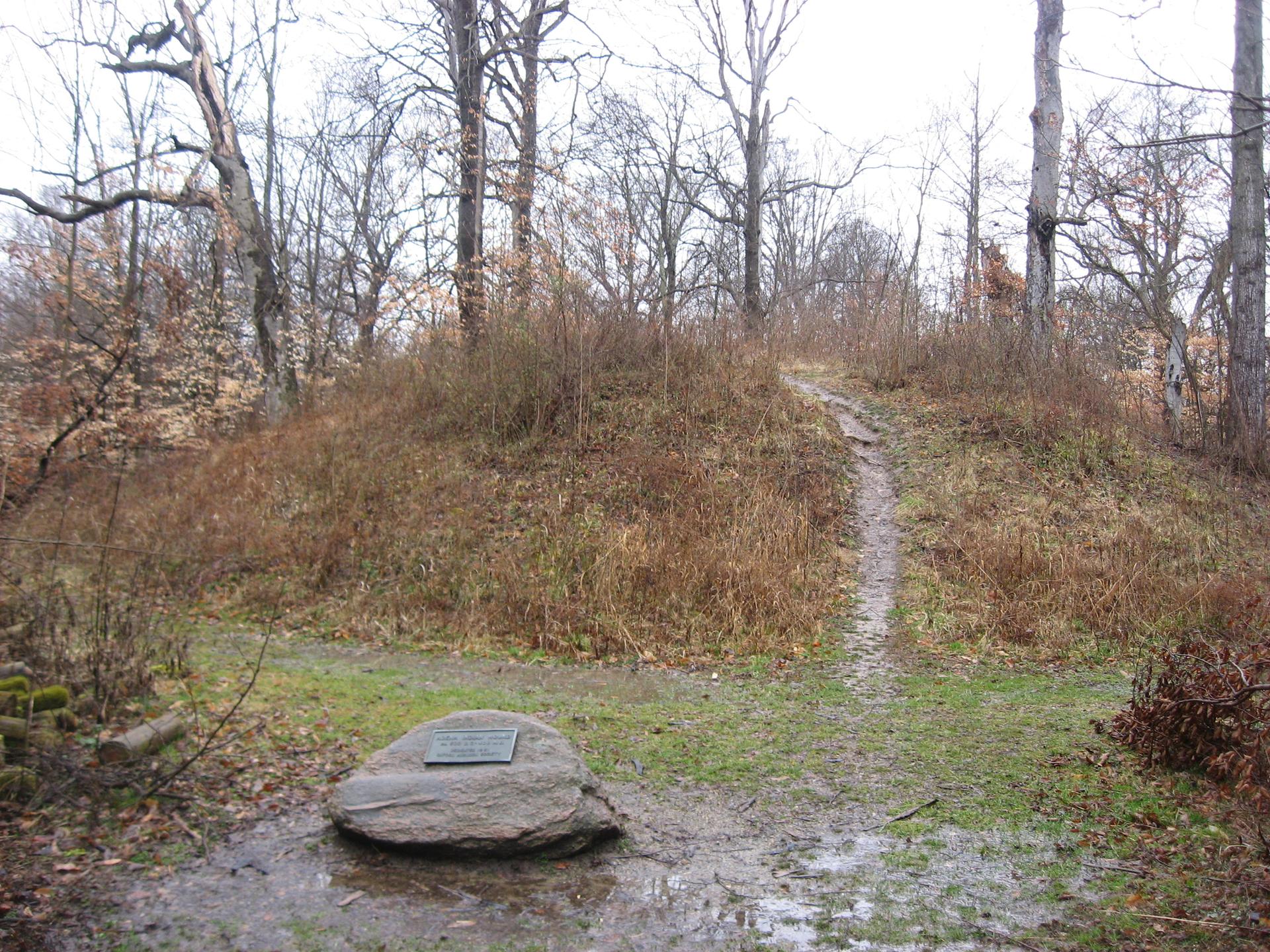 Muddy path leads up a hill through bare trees and dry grass under an overcast sky.