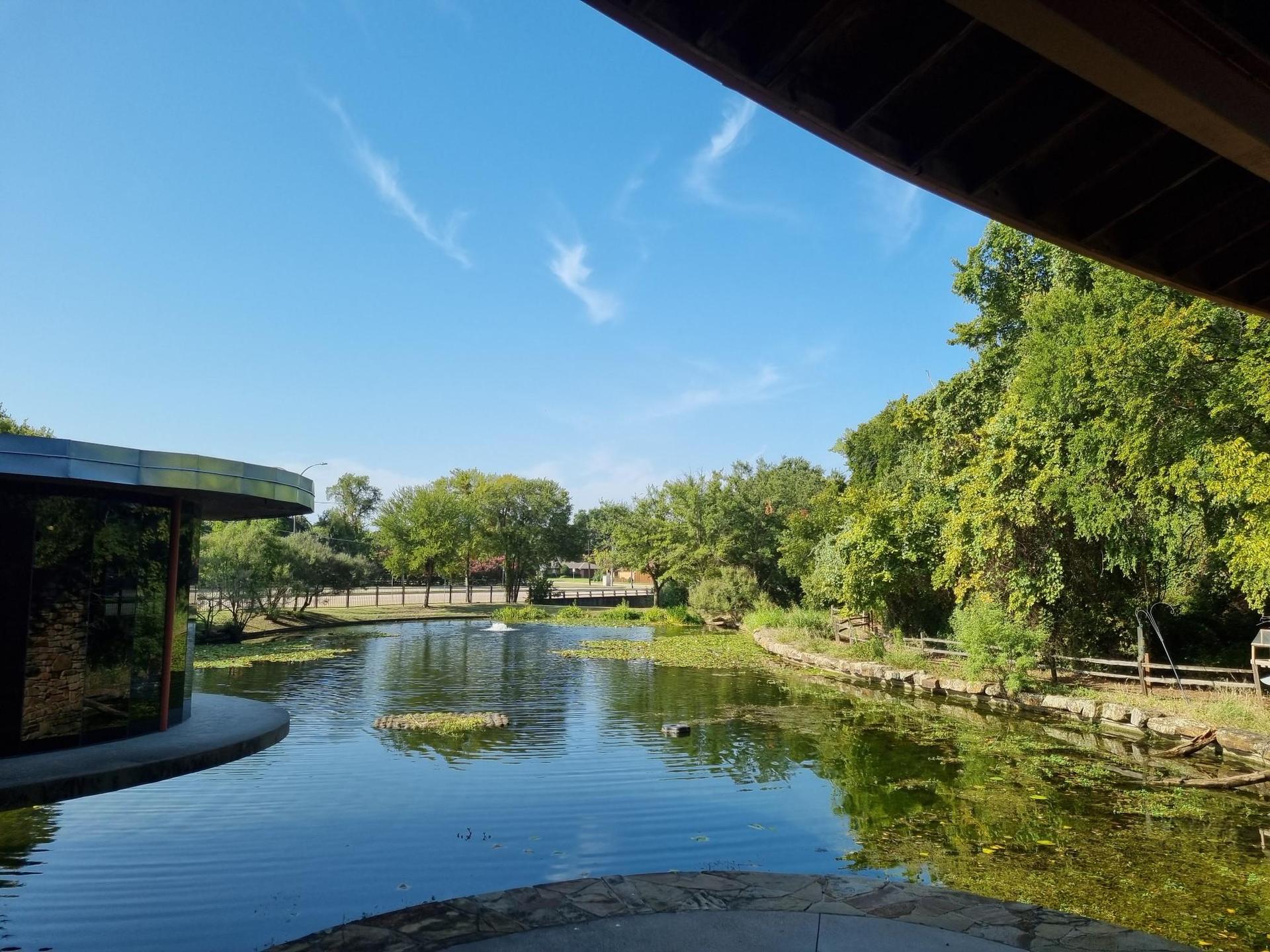 A serene pond with a modern building and lush green trees under a bright blue sky.