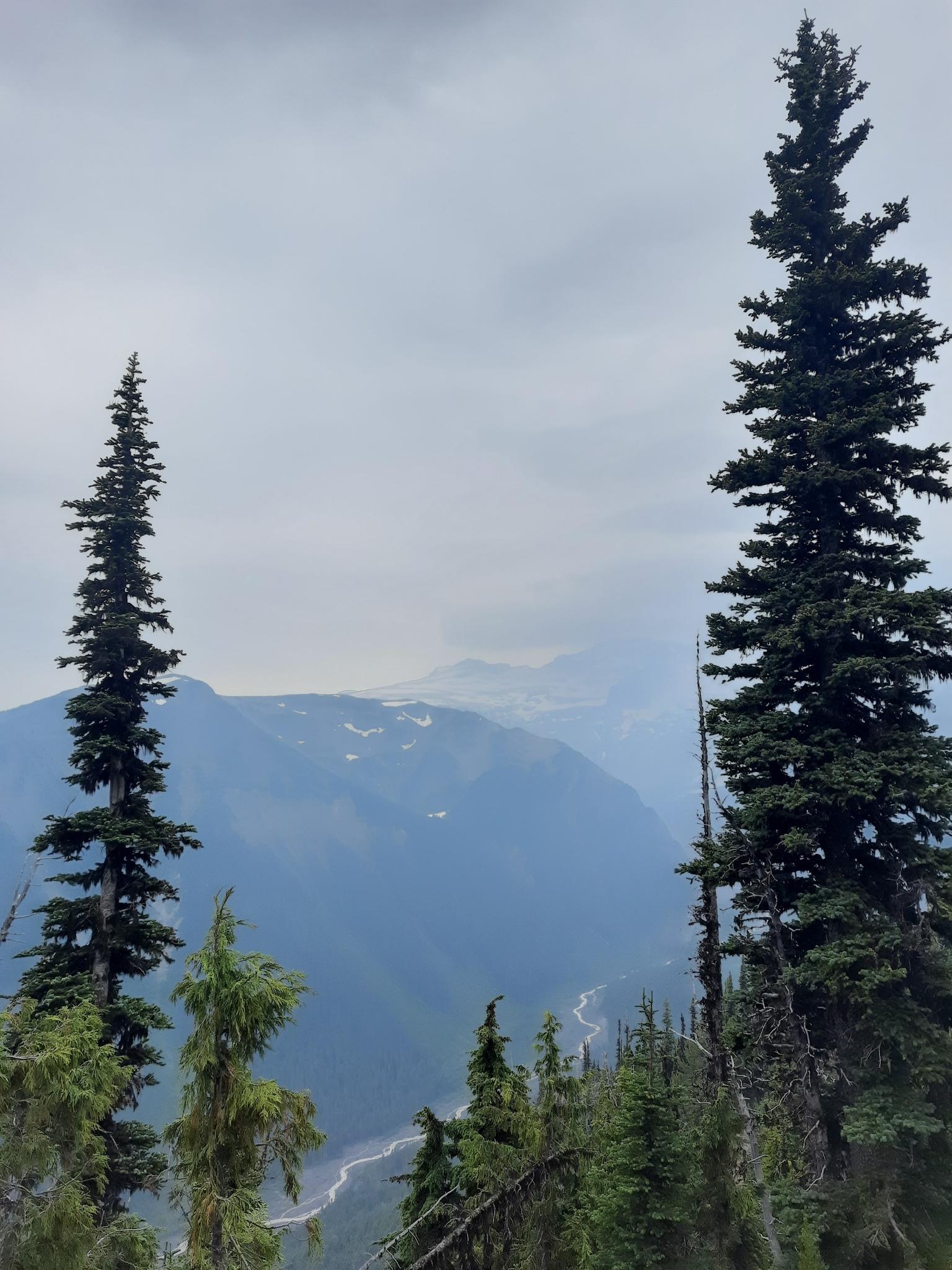 Tall evergreen trees frame a vast, misty mountain valley with a winding river.