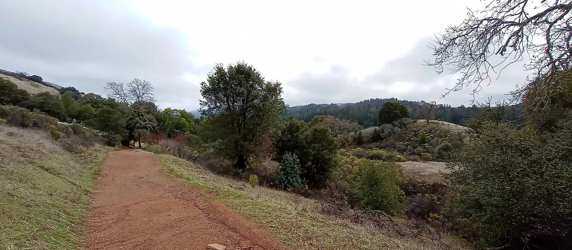 A dirt path through rolling hills and trees under an overcast sky.