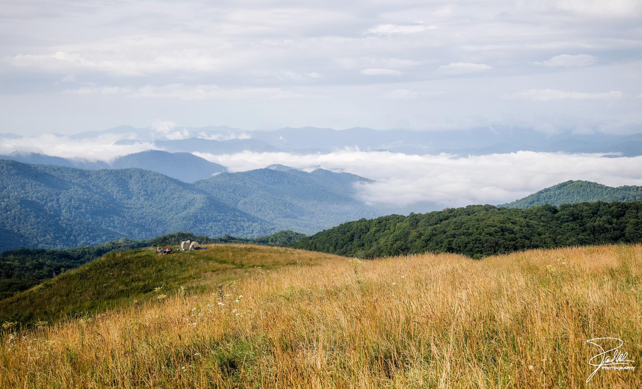 Golden grassy ridge overlooking misty green mountains with small tents.