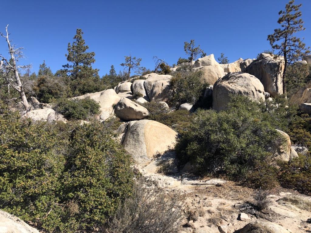 Large granite boulders and green shrubs dot a sunny hillside under a clear sky.