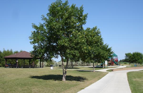Sunny park with large tree, picnic shelter, playground, and paved path.