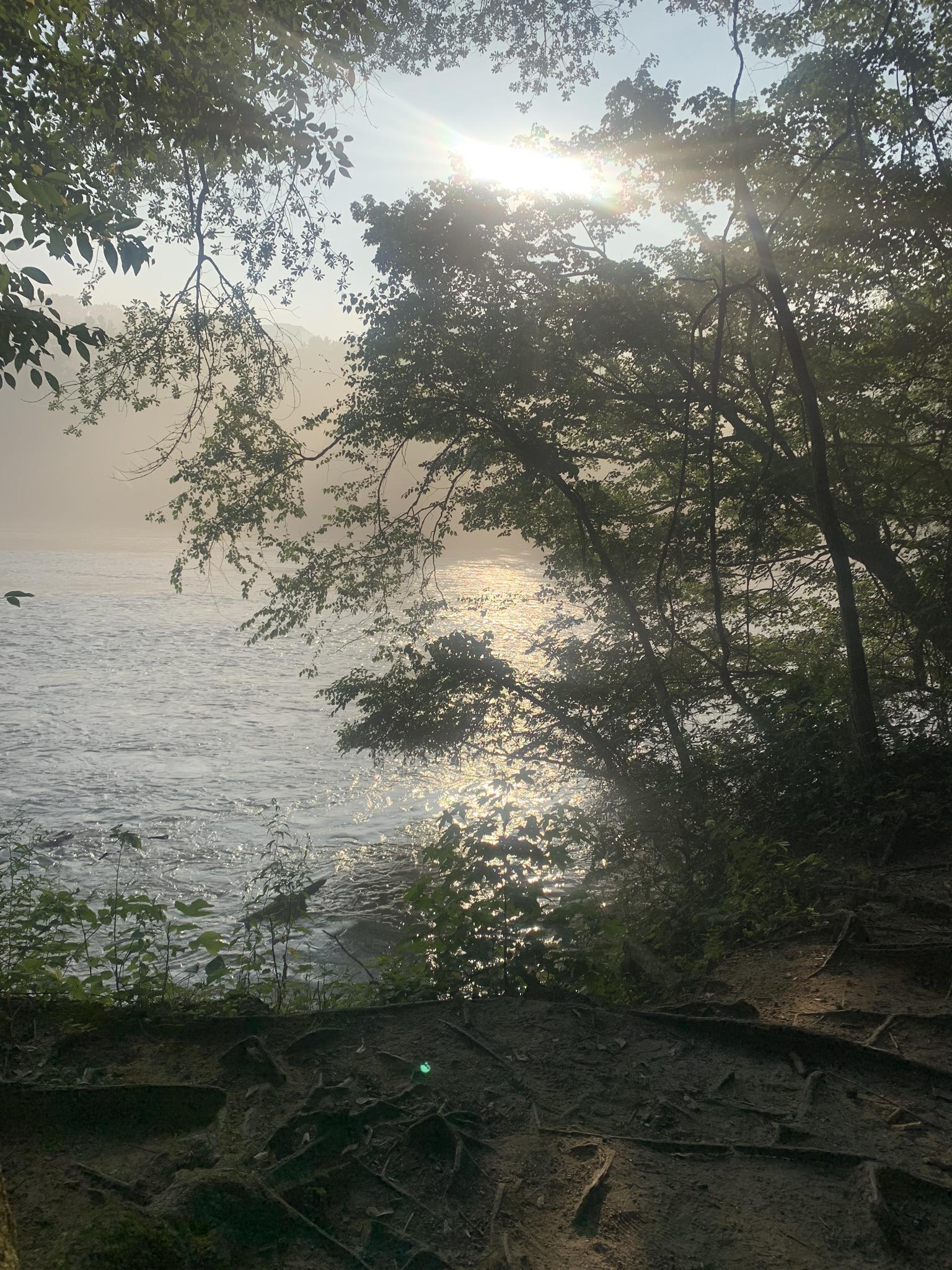 Sunlight glints on a misty river, framed by dark trees.