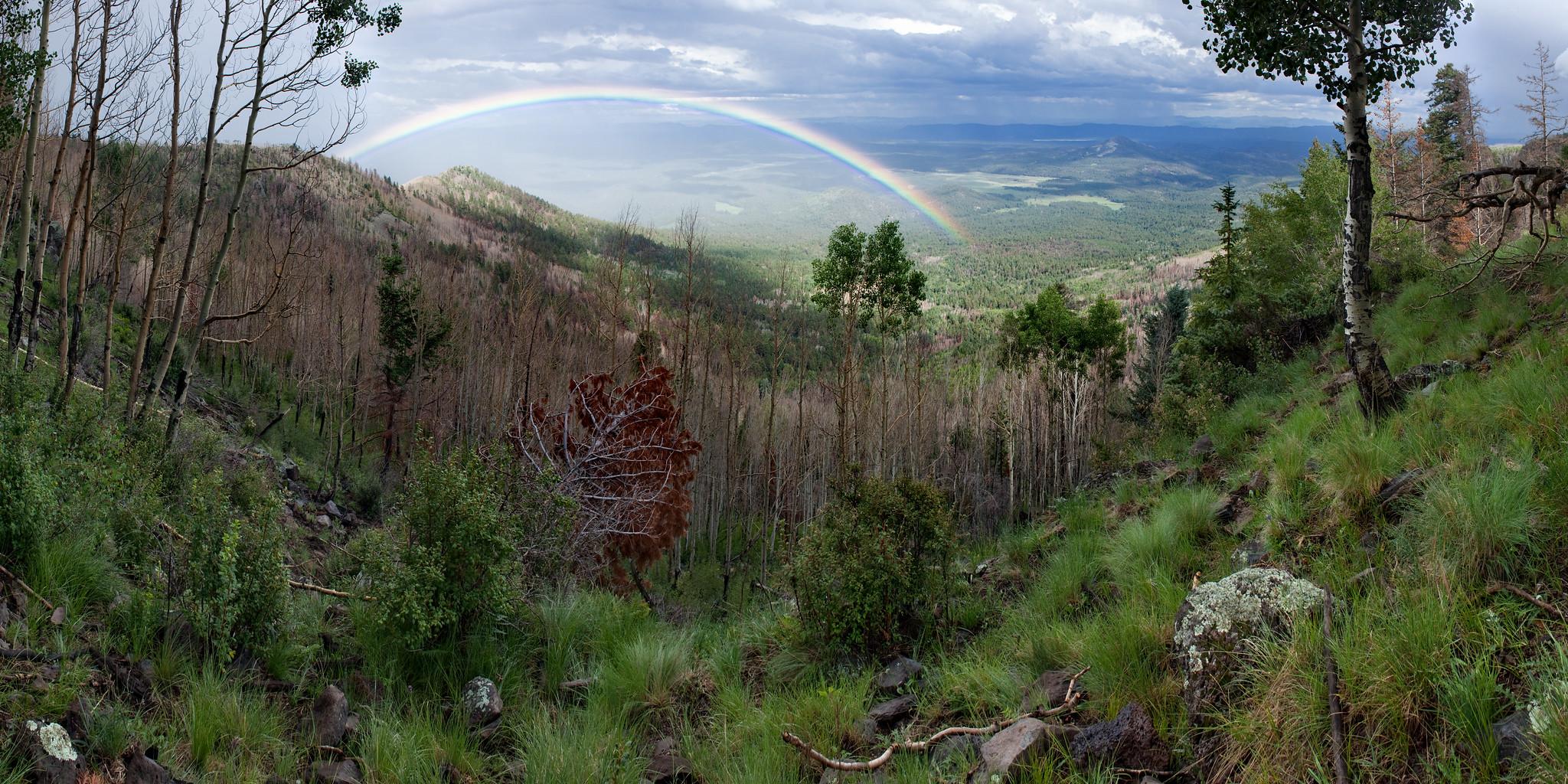 A vibrant rainbow arches over a forested mountain valley under a cloudy sky.