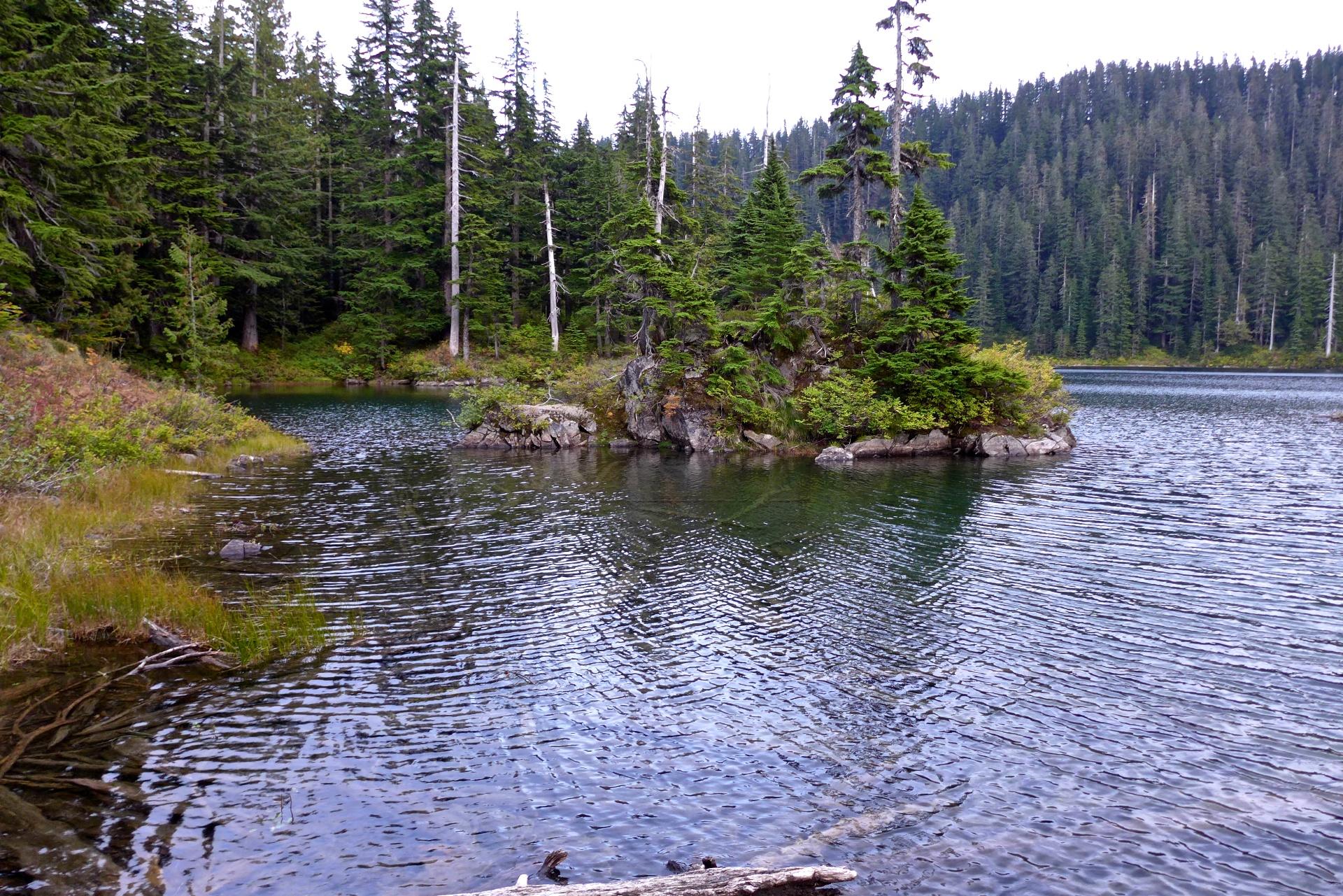 A serene lake with a small, tree-covered island surrounded by dense forest under overcast skies.