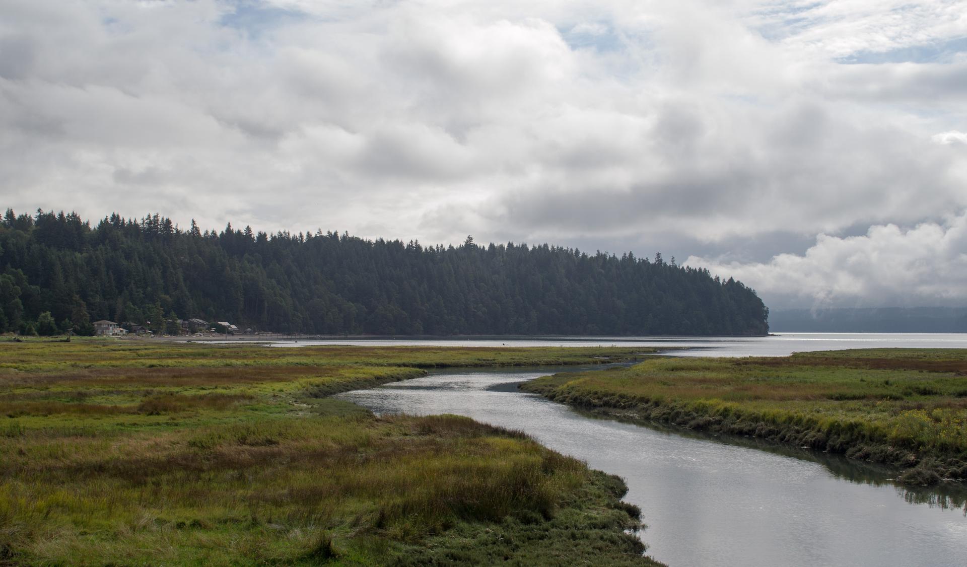 Overcast view of a winding river through marshland, leading to a bay.