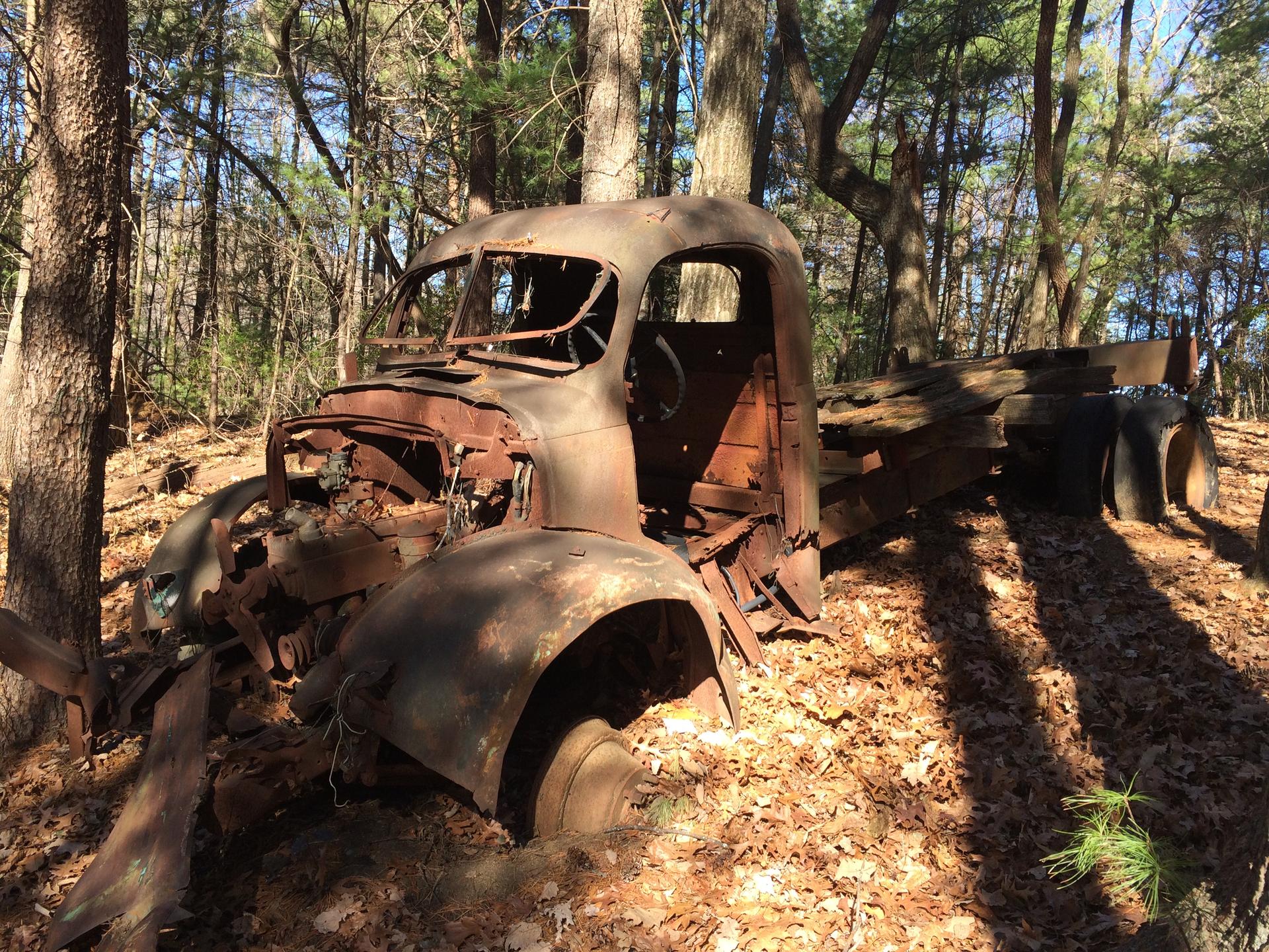 A rusted, abandoned truck sits in a sunlit forest with fallen leaves.