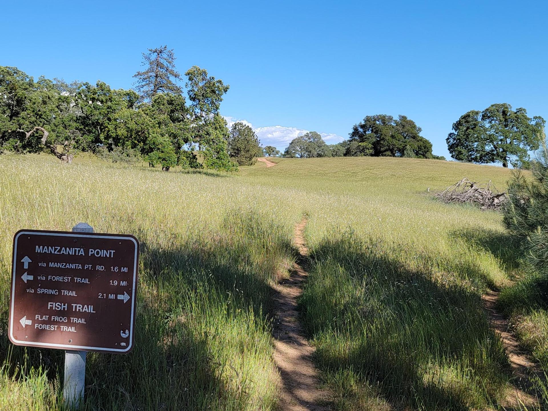 Trail sign beside a dirt path through a sunny, golden grassy field.