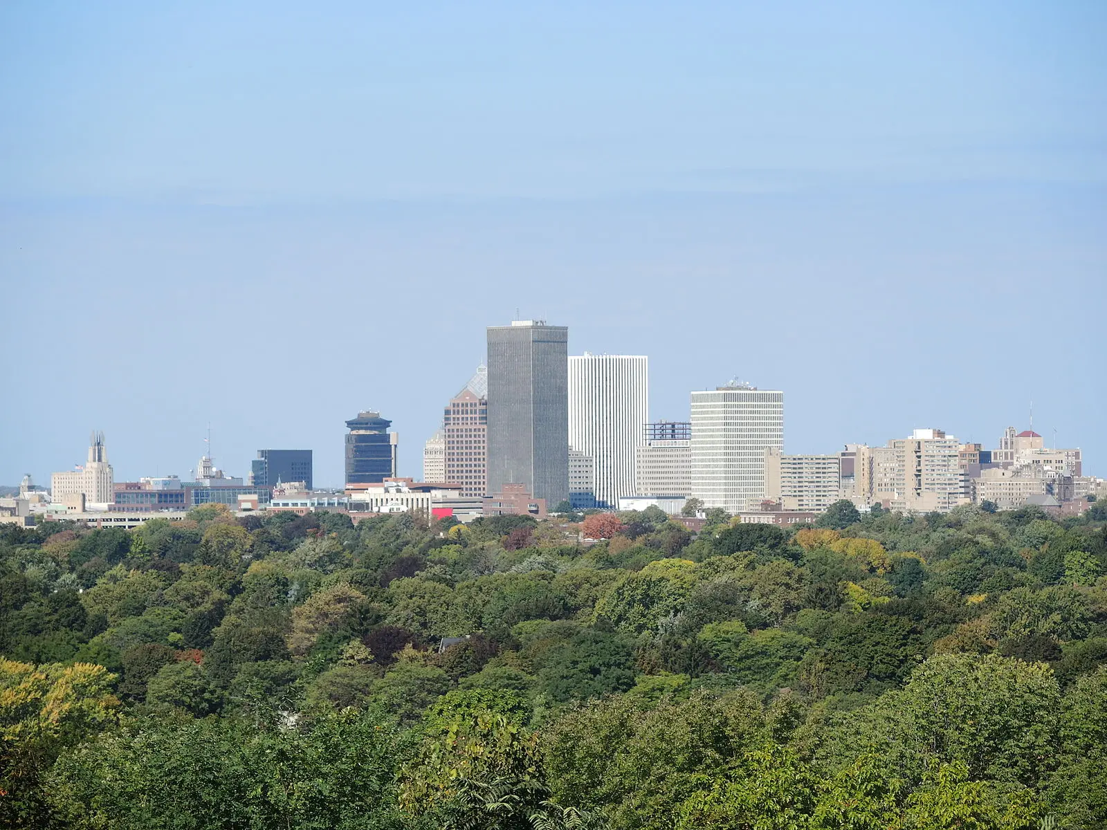 Distant city skyline rises above a dense green forest on a clear day.