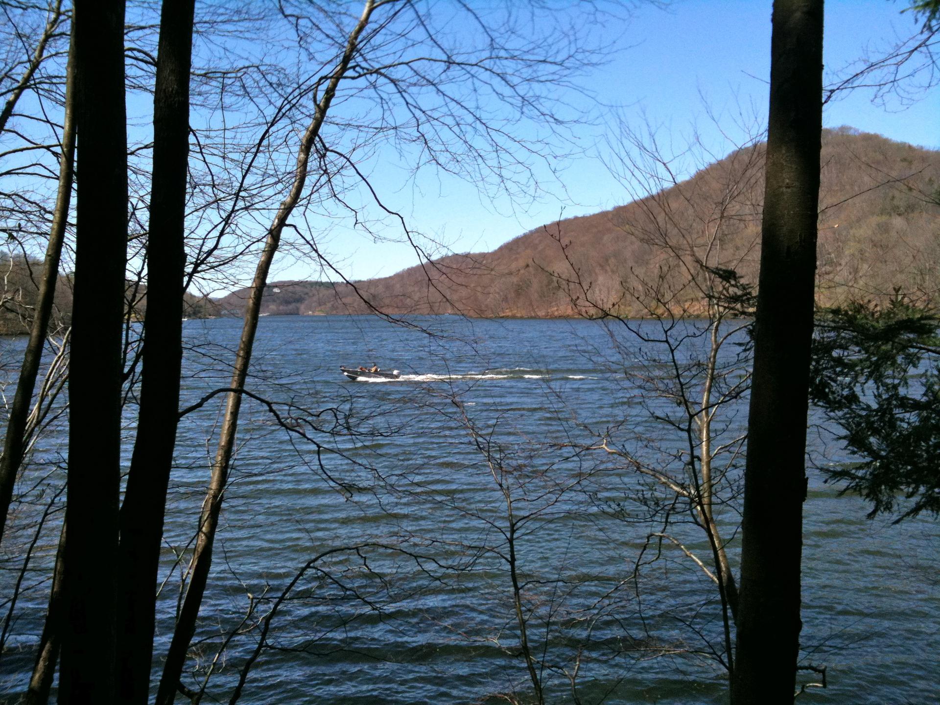 A boat moves across a sunny lake, framed by bare trees and distant hills.