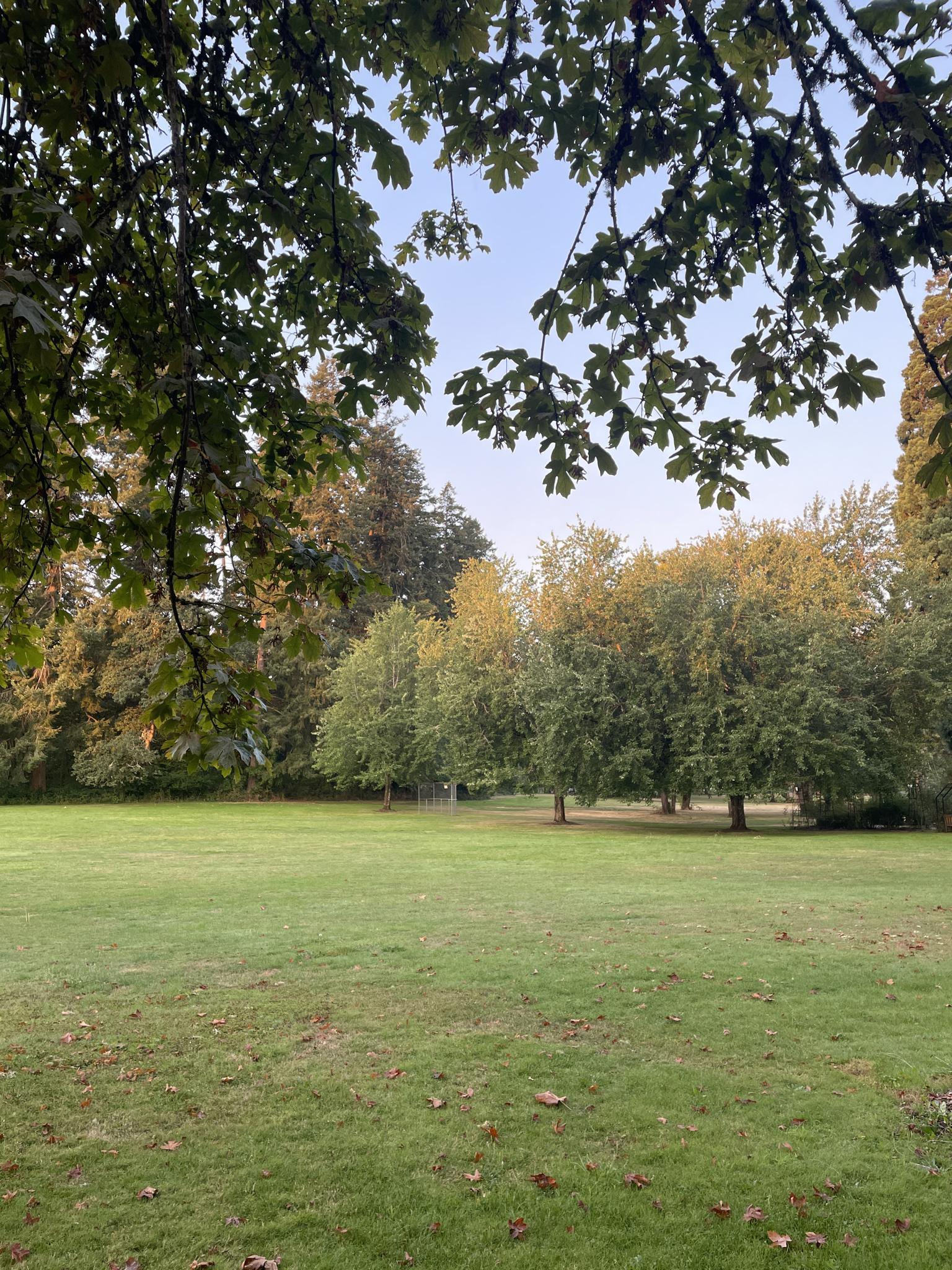 A wide green grassy field framed by lush trees under a clear sky.