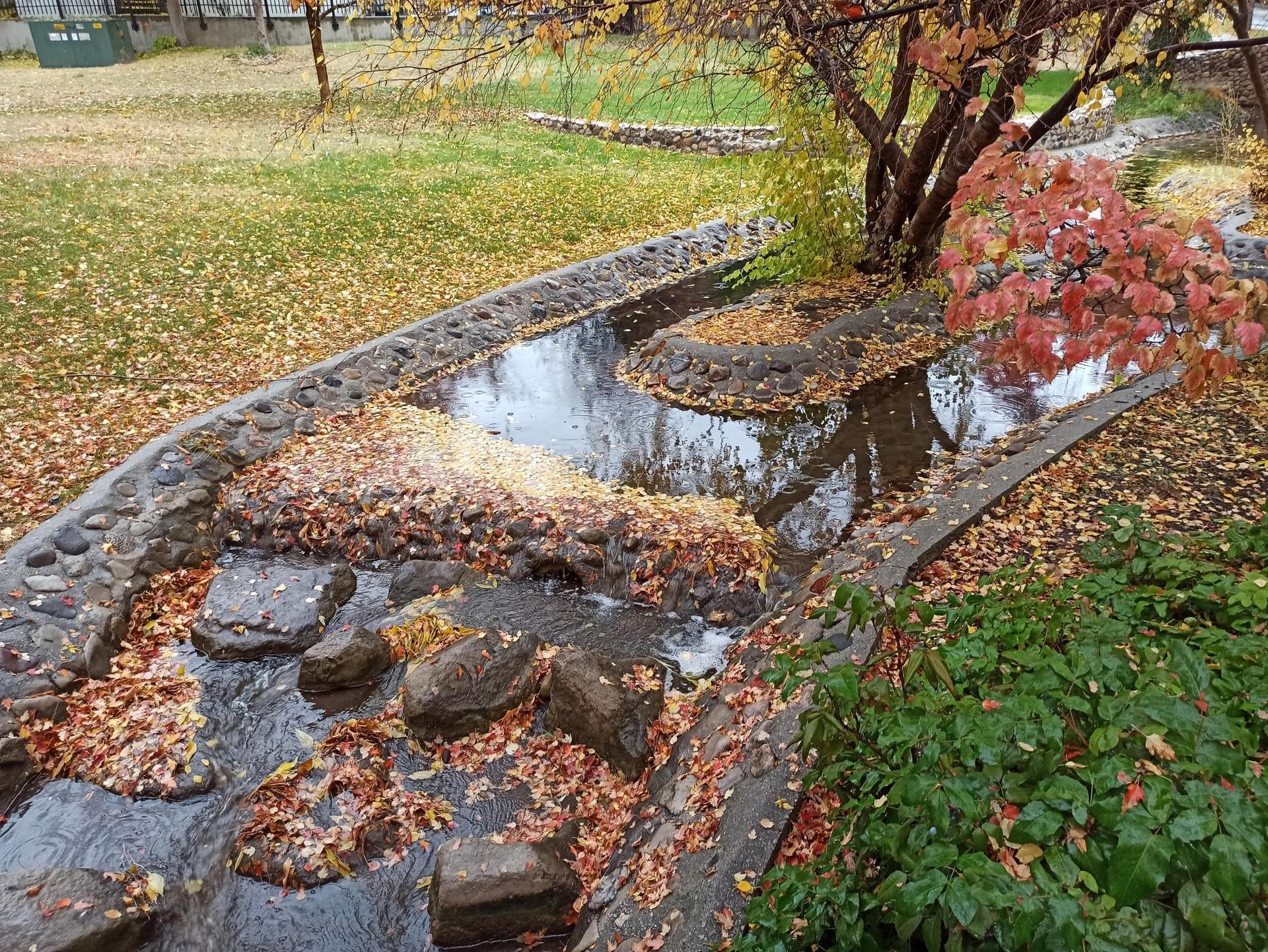 Stone-lined stream filled with autumn leaves, surrounded by fall foliage.