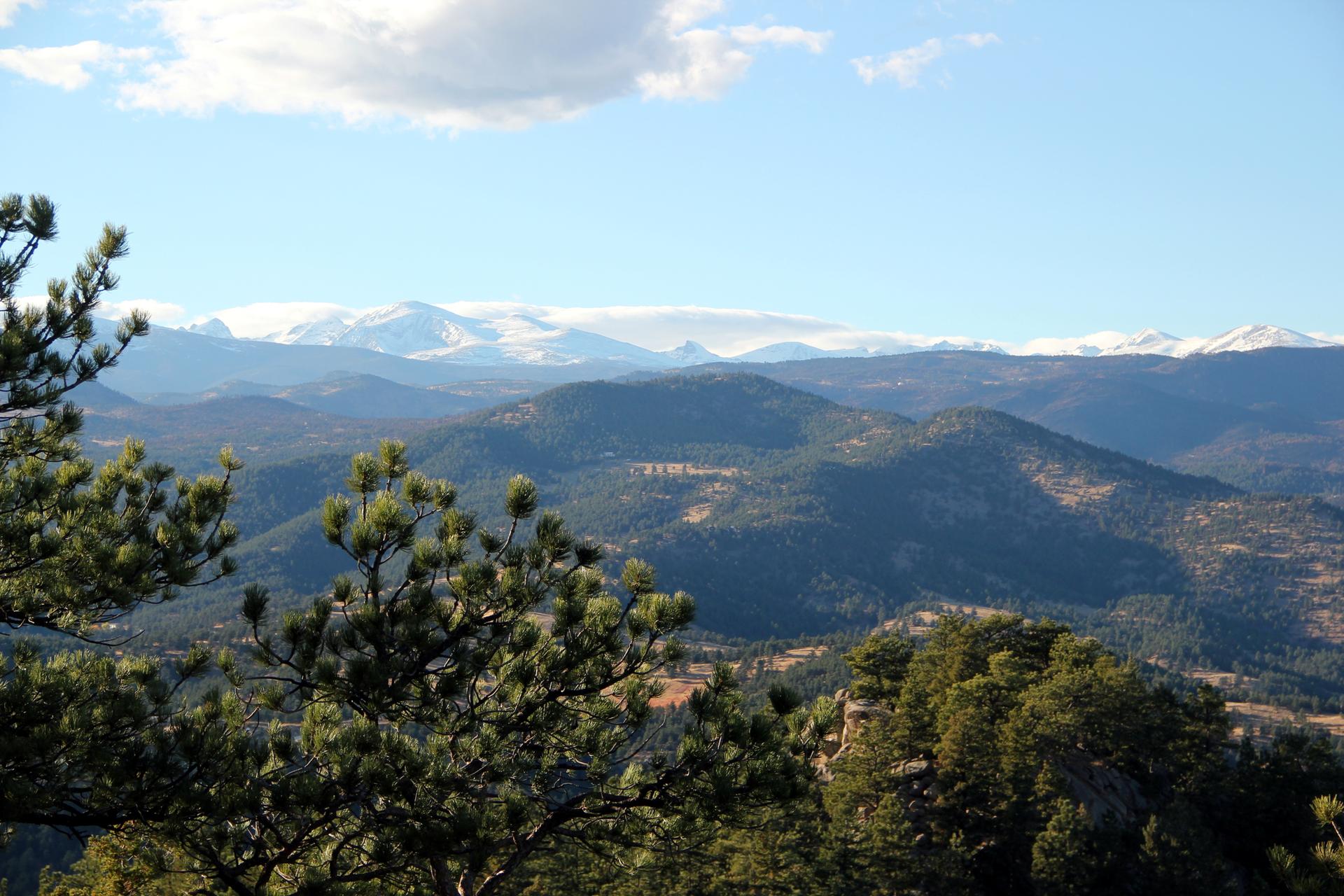 Sunny mountain landscape with pine trees, rolling hills, and snow-capped peaks in distance.