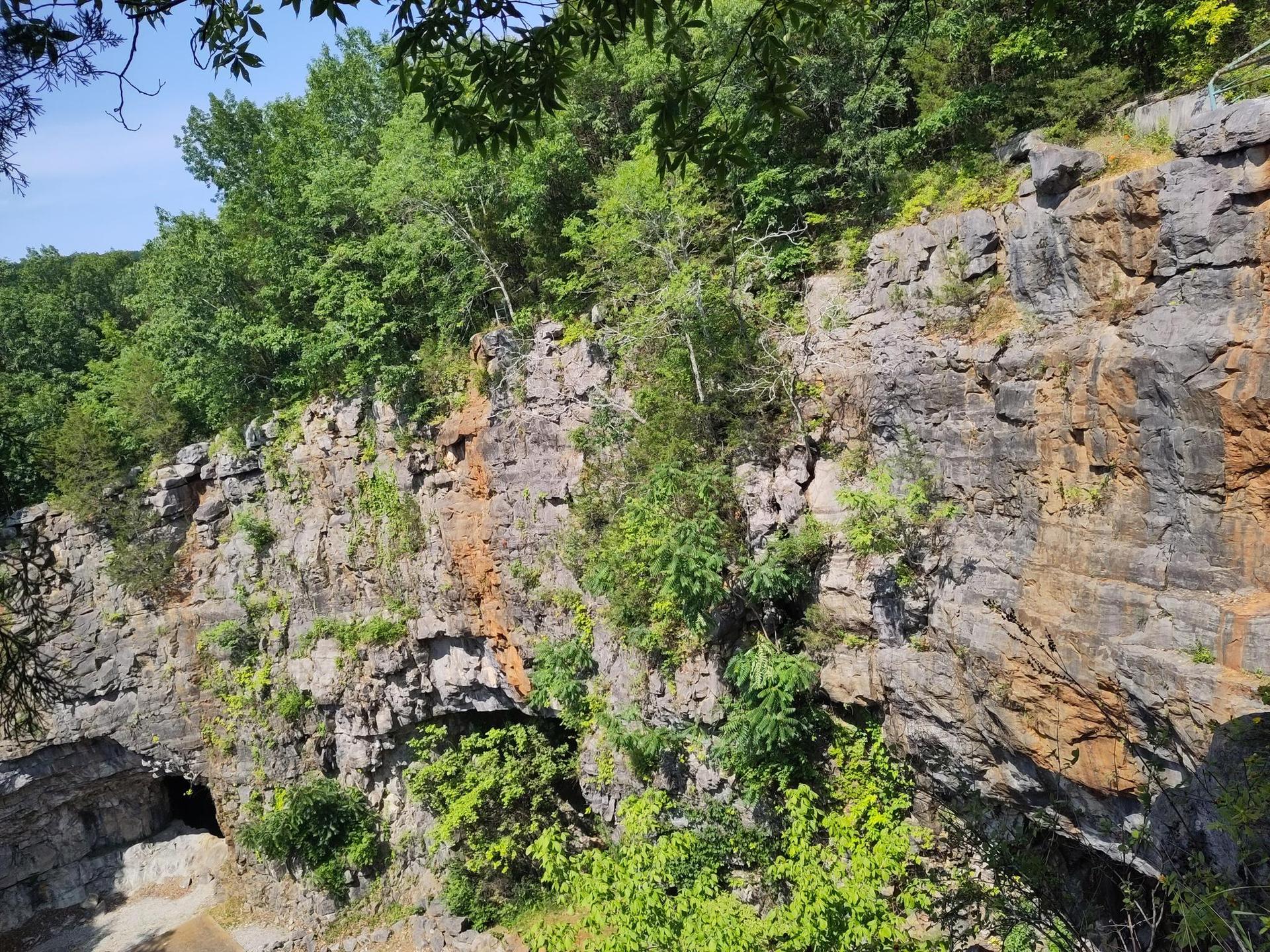 A steep, rugged rock cliff face covered with green trees and foliage.