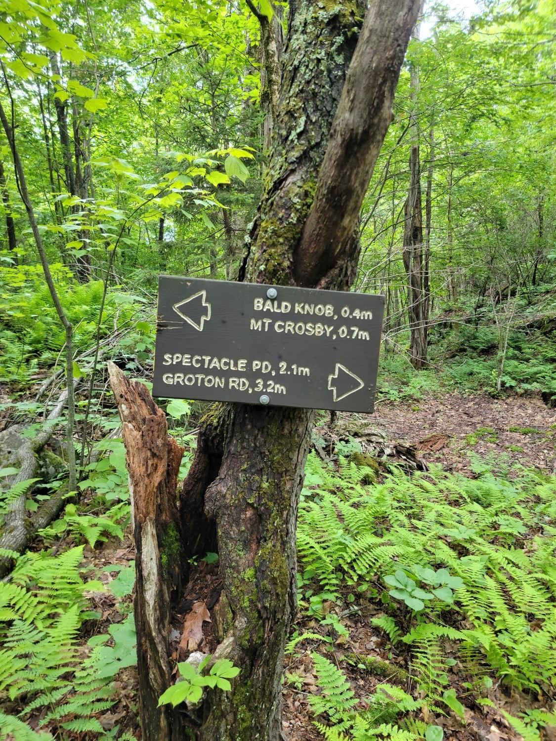 A brown trail sign attached to a tree in a vibrant green forest.