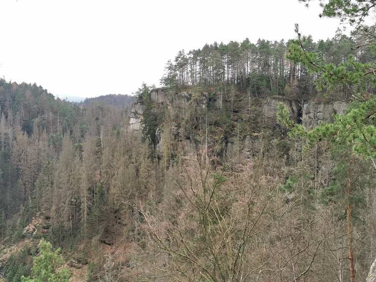 Blick auf die Burg Hohnstein und das Polenztal vom Hockstein ...