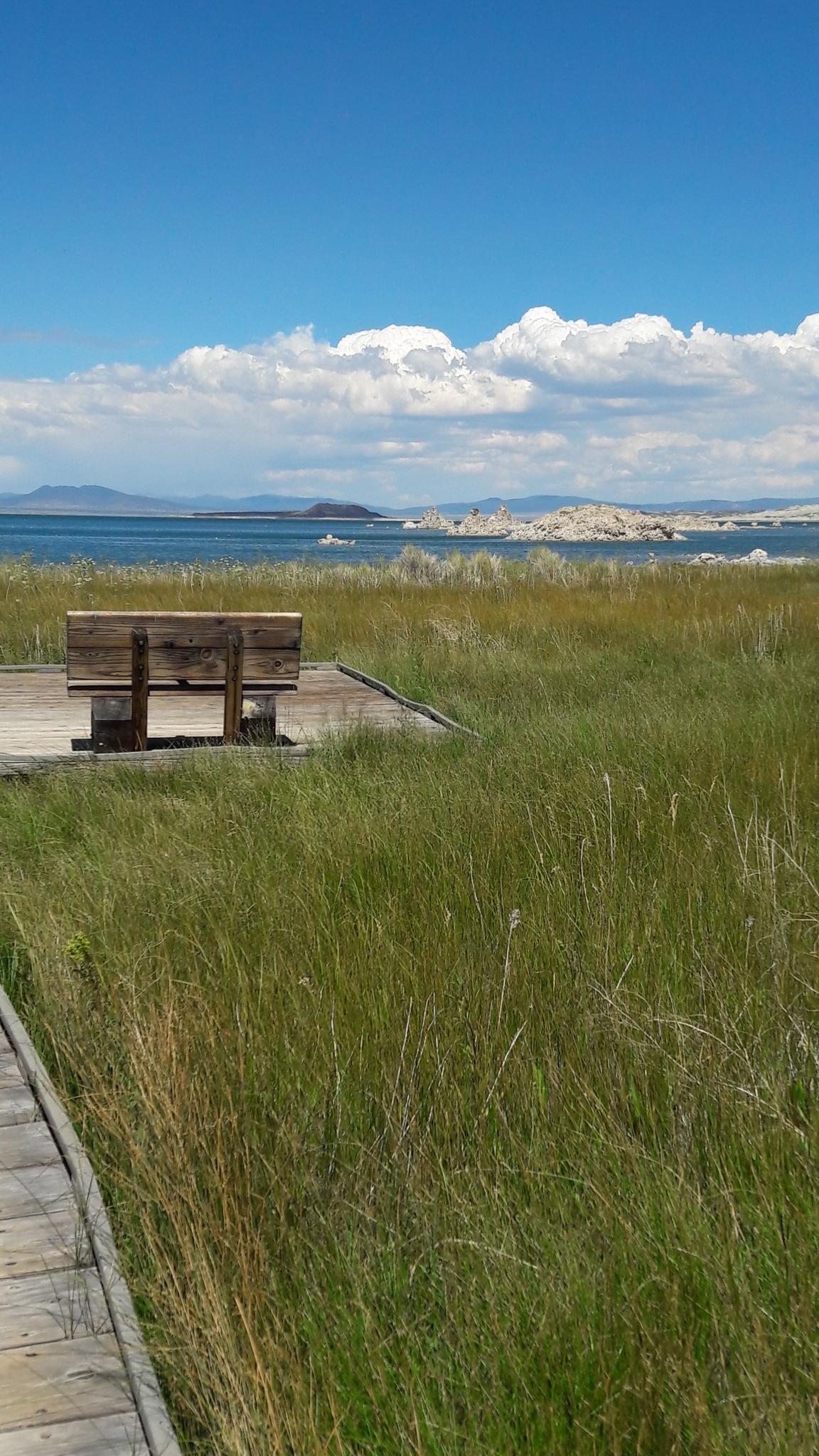 A wooden bench on a boardwalk overlooks a grassy field and a large lake on a sunny day.