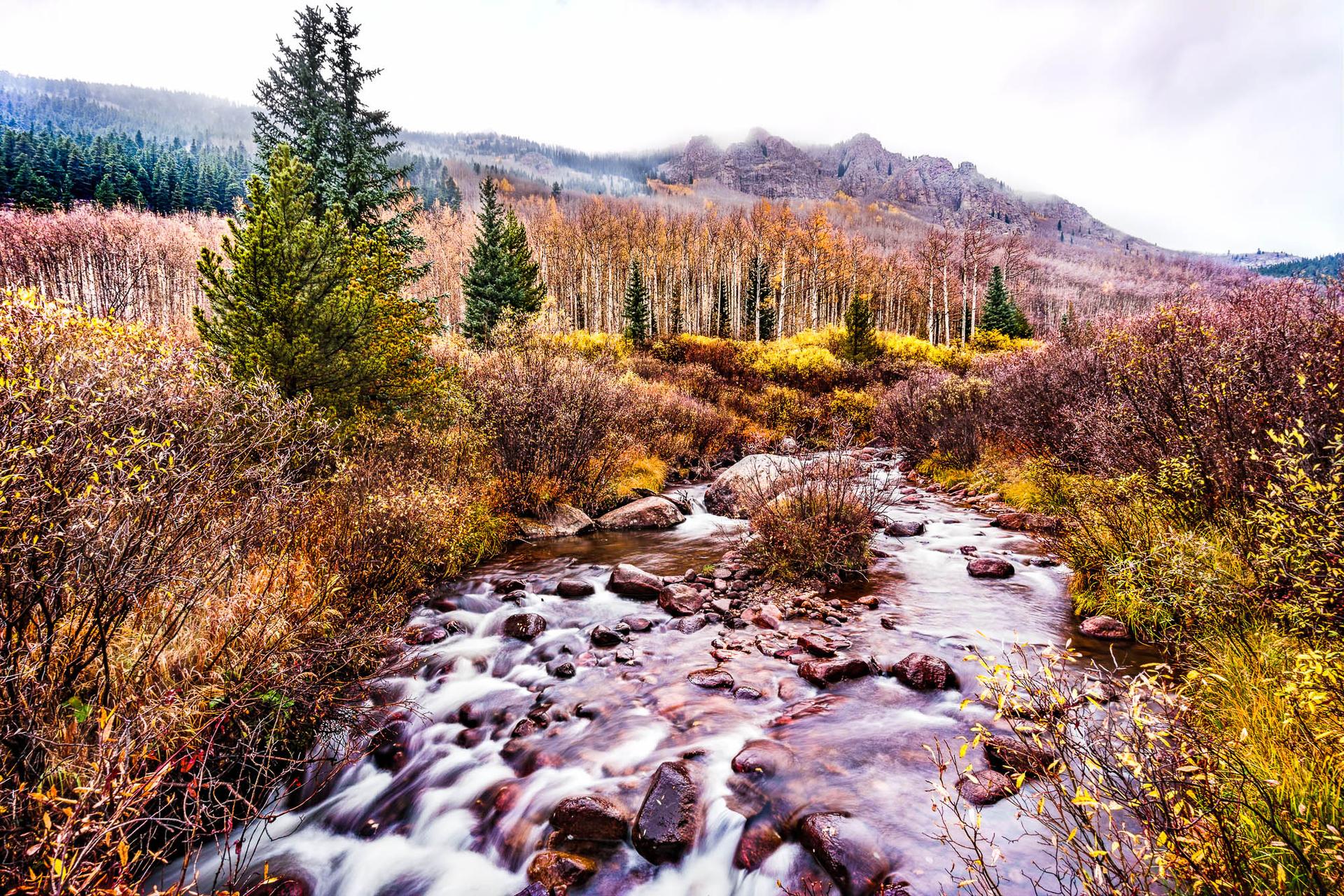 A rocky stream flows through a vibrant autumn forest under an overcast sky.