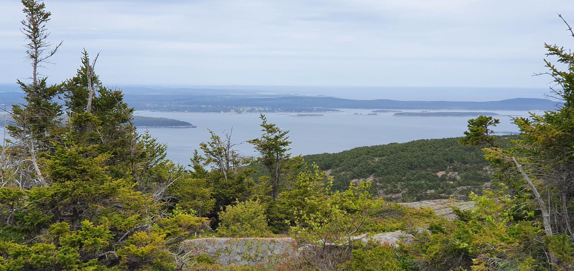 Overcast view of evergreen trees overlooking a large body of water with islands.