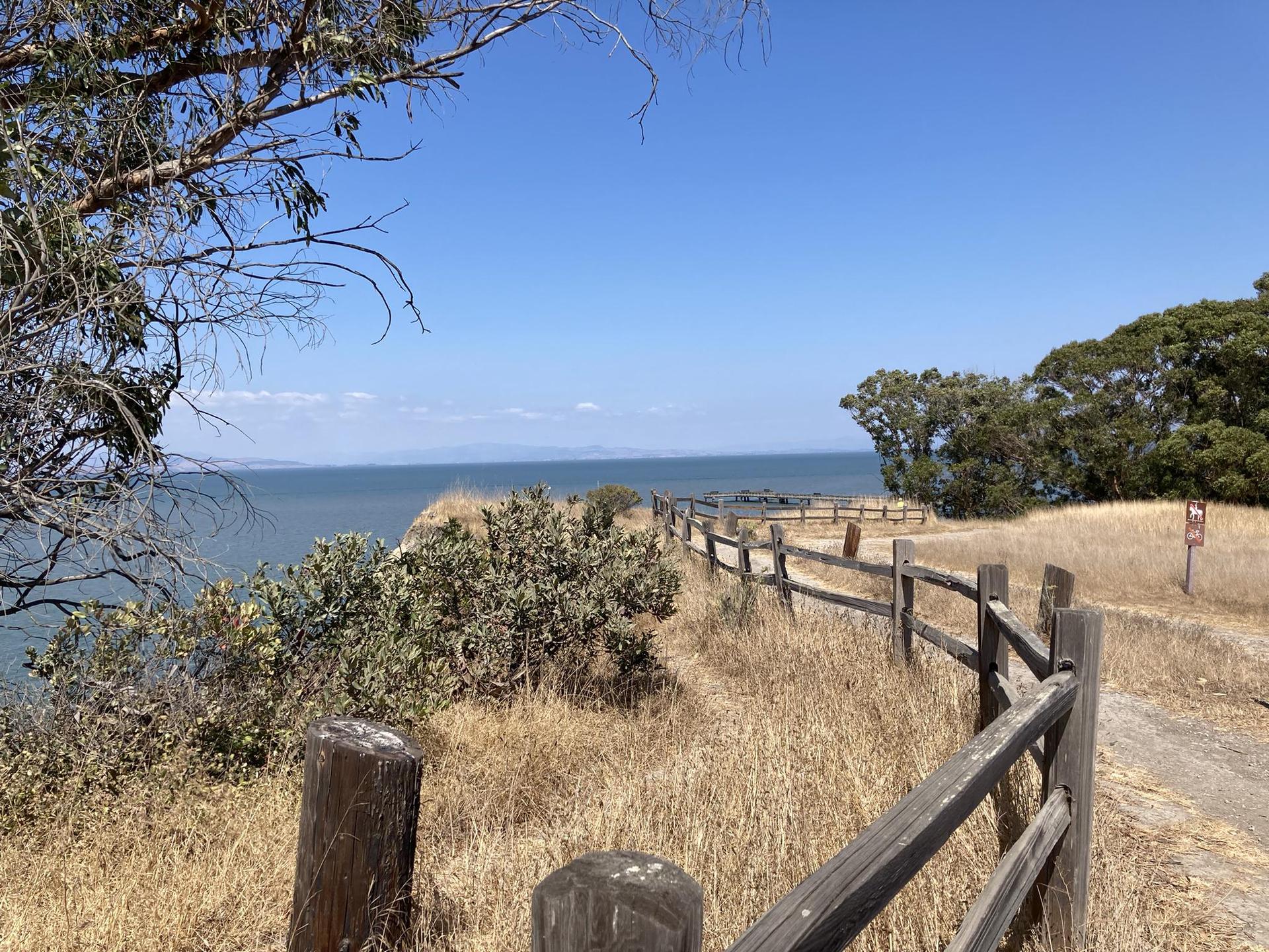 Wooden fence along a cliff overlooking a vast blue ocean on a sunny day.
