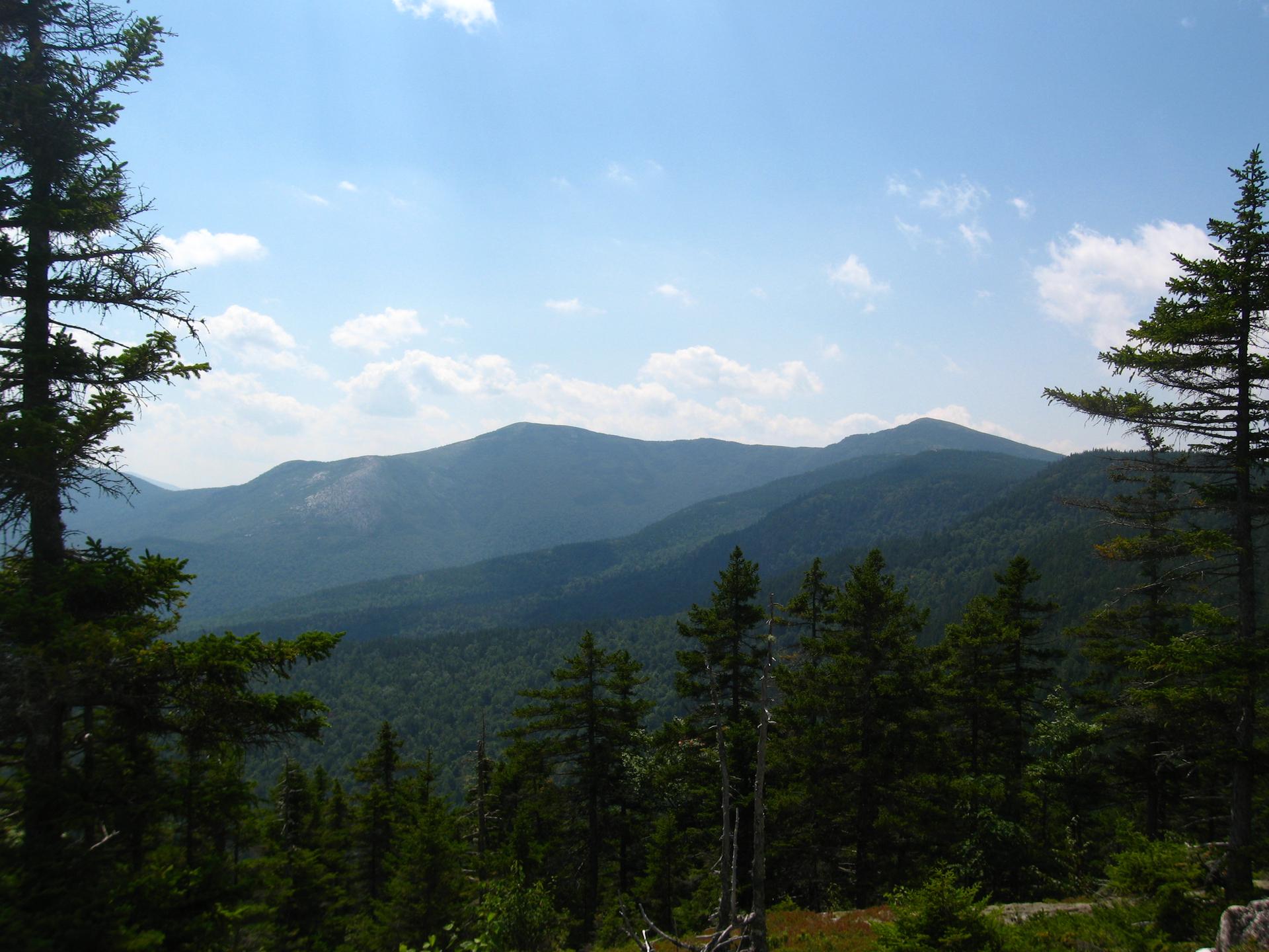 Distant forested mountains under a partly cloudy sky, framed by pine trees.