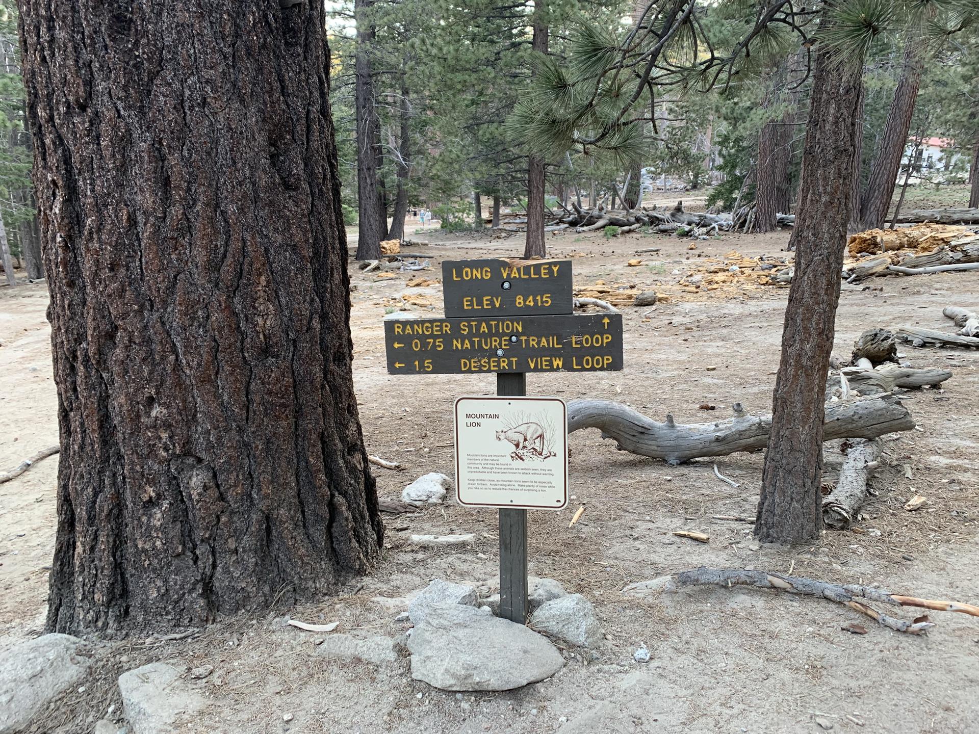 A wooden trail sign stands next to a large tree in a forest.