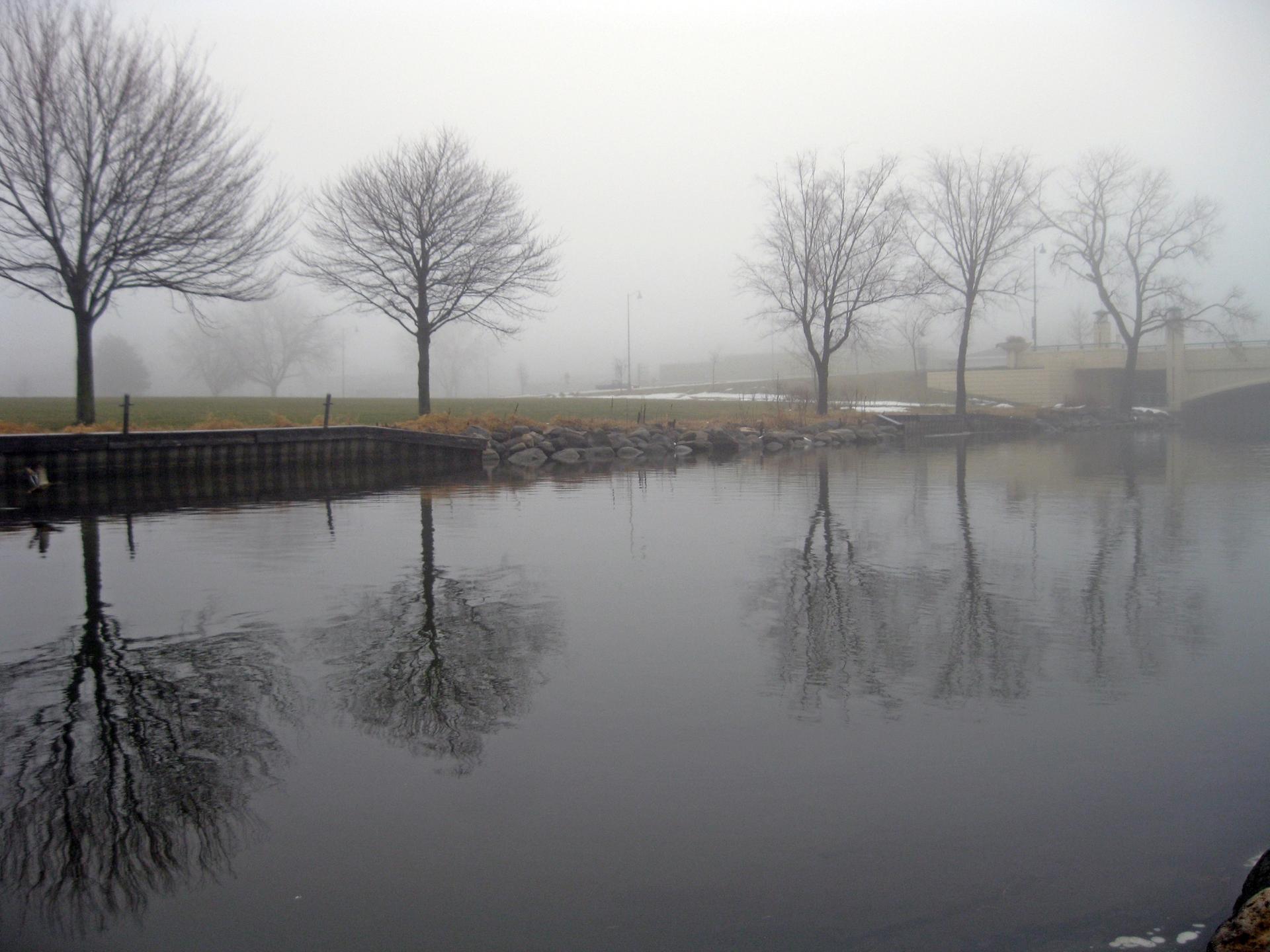 Foggy river with bare trees reflecting on the still water.
