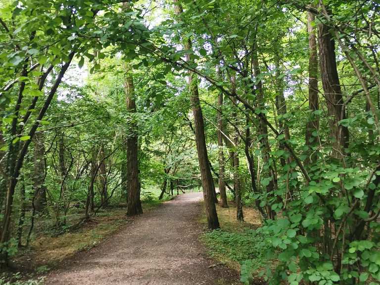 Les bois de Misinto et l'Oasis Lentate sul Seveso - le Tour dans le ...