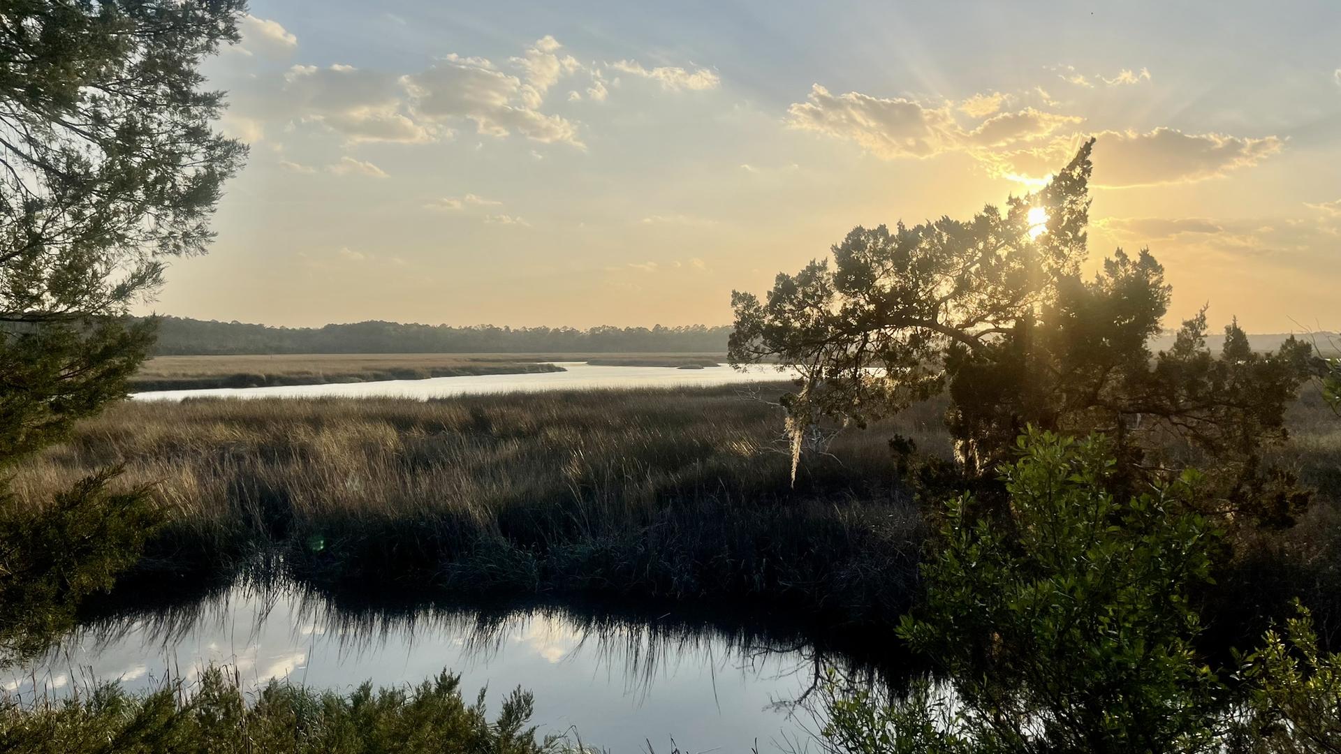A wide river and marsh landscape at sunset, with trees in foreground.