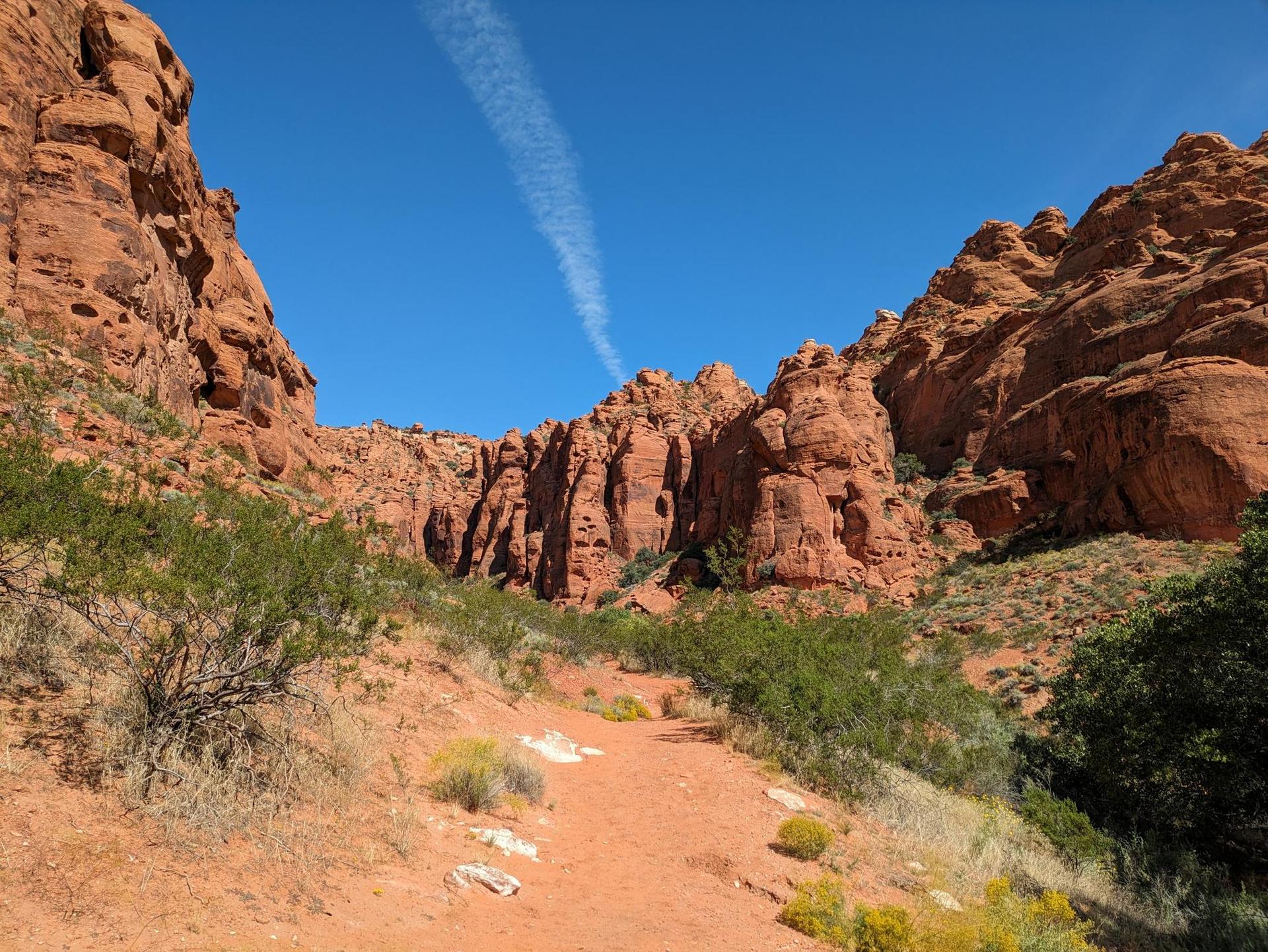 A dirt path enters a narrow red rock canyon under a bright blue sky.