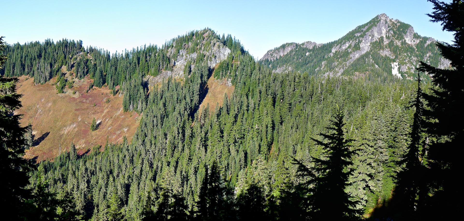 Sunny mountain landscape with dense evergreen forests and rocky peaks under clear sky.