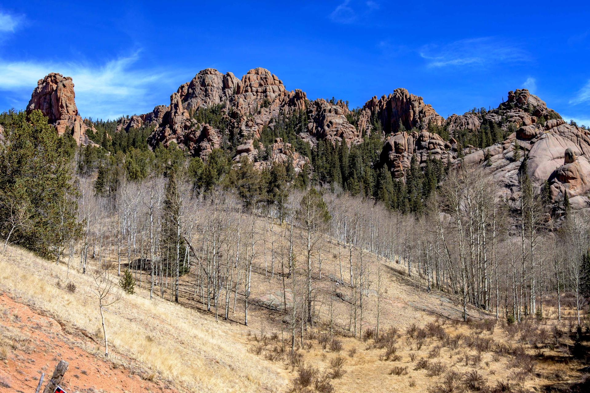 Majestic rocky mountains rise above a forest of bare and evergreen trees.
