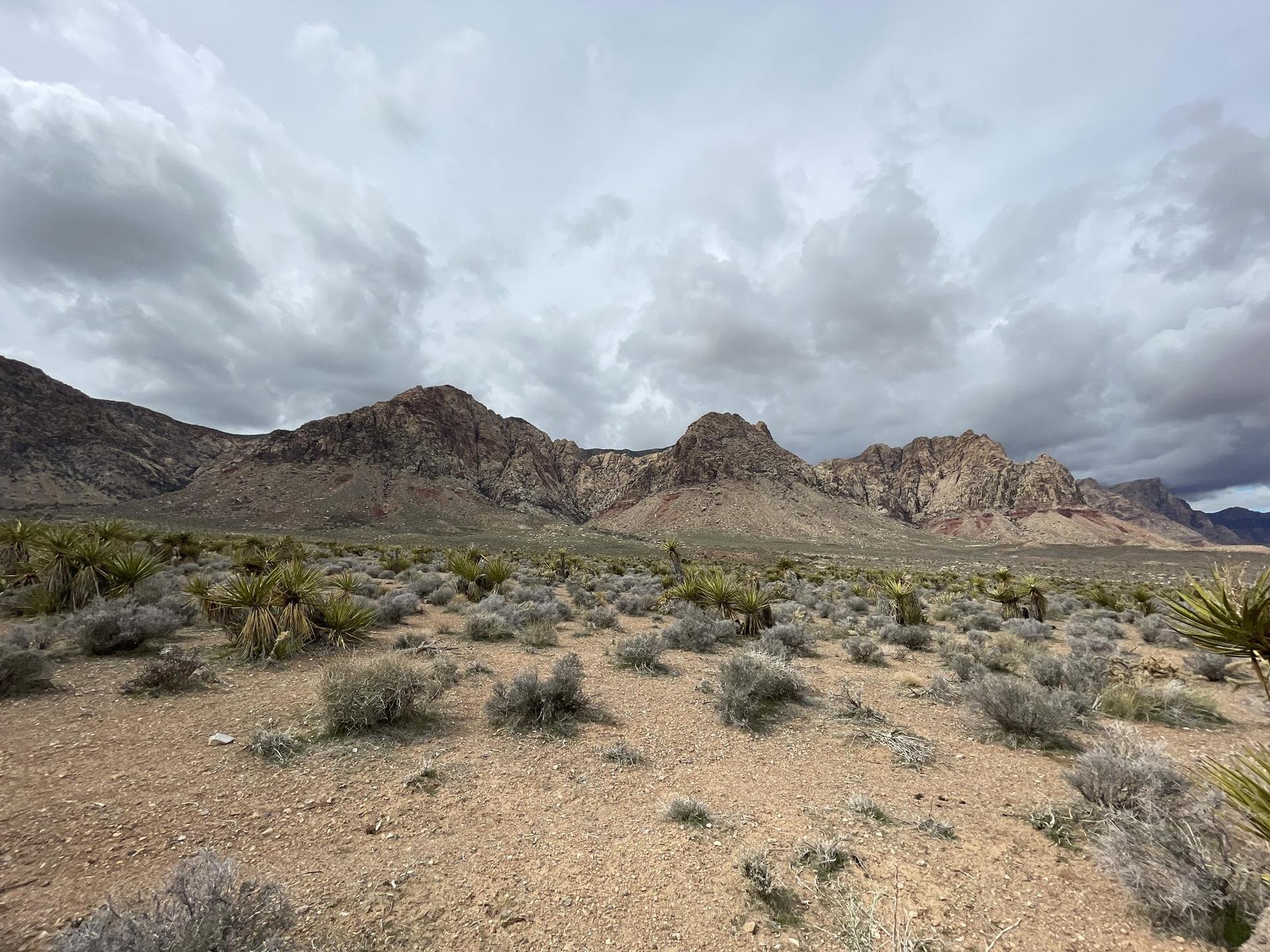 Wide desert landscape with scrub and rugged mountains under a cloudy sky.