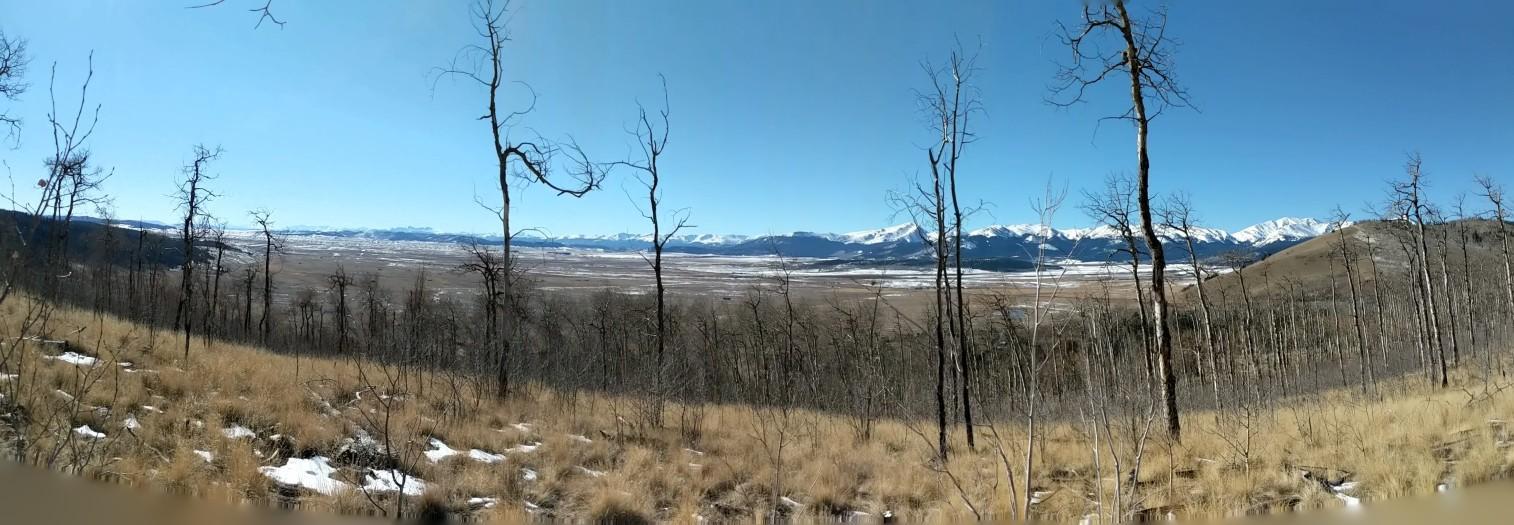 Panoramic view of a valley with bare trees, snow patches, and distant mountains.