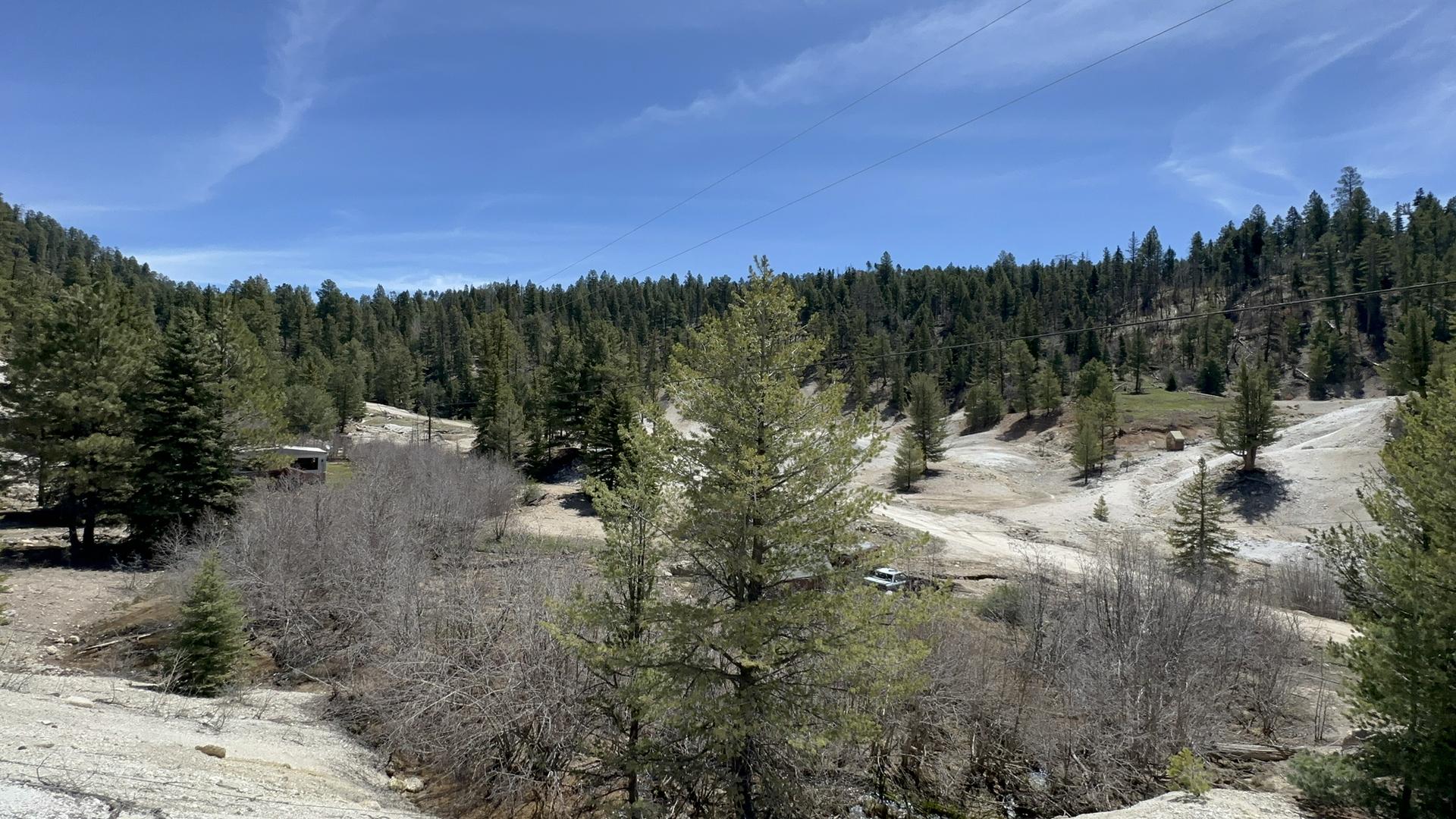 Sunny valley with scattered pine trees, dry patches, and a distant white vehicle.
