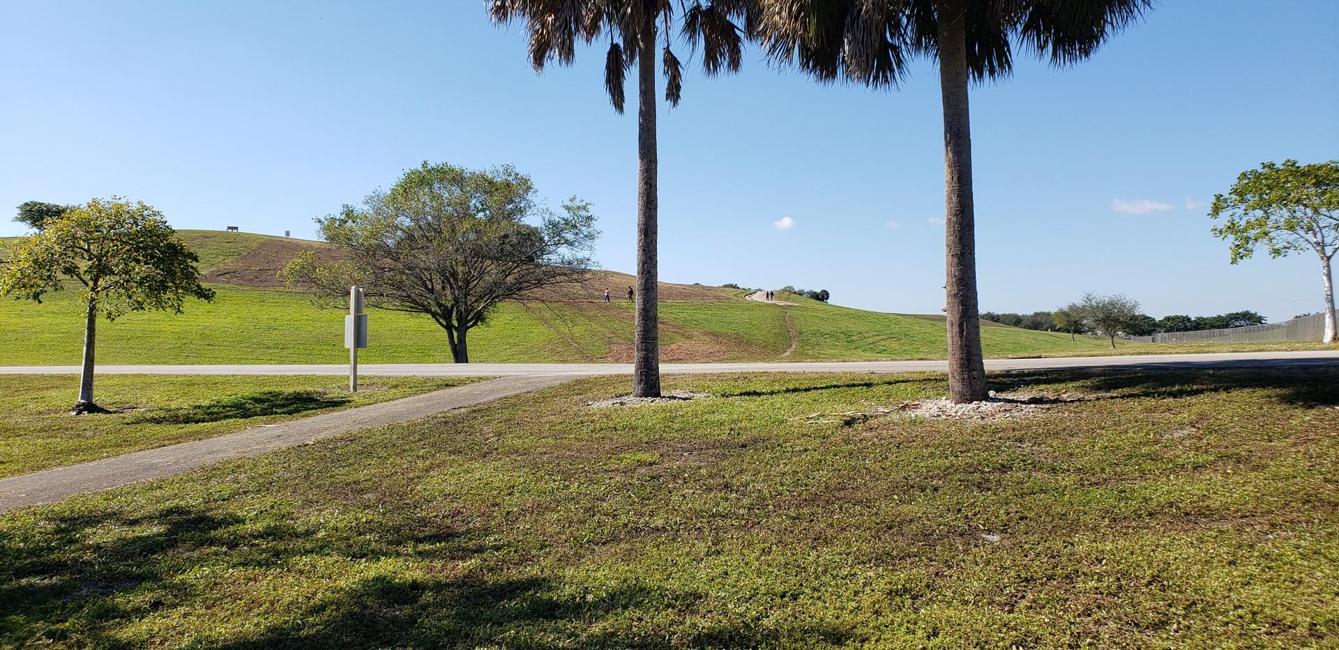 Sunny landscape with palm trees, green hills, and a paved path.