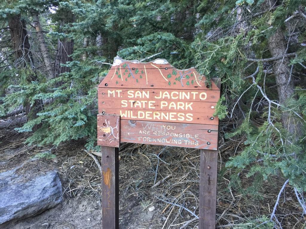 A weathered wooden sign stands in a shaded forest, partially obscured.