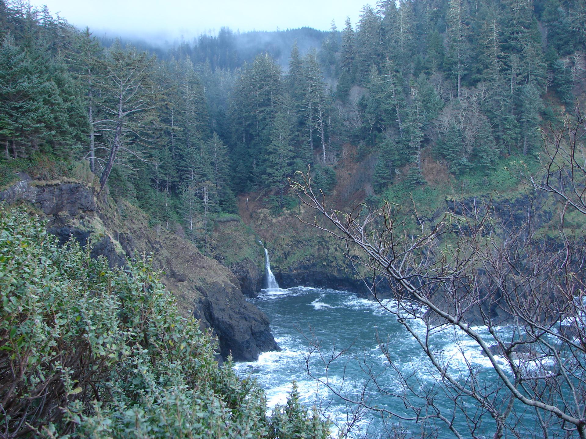 A waterfall flows into a turbulent ocean cove, surrounded by dark, dense forest.