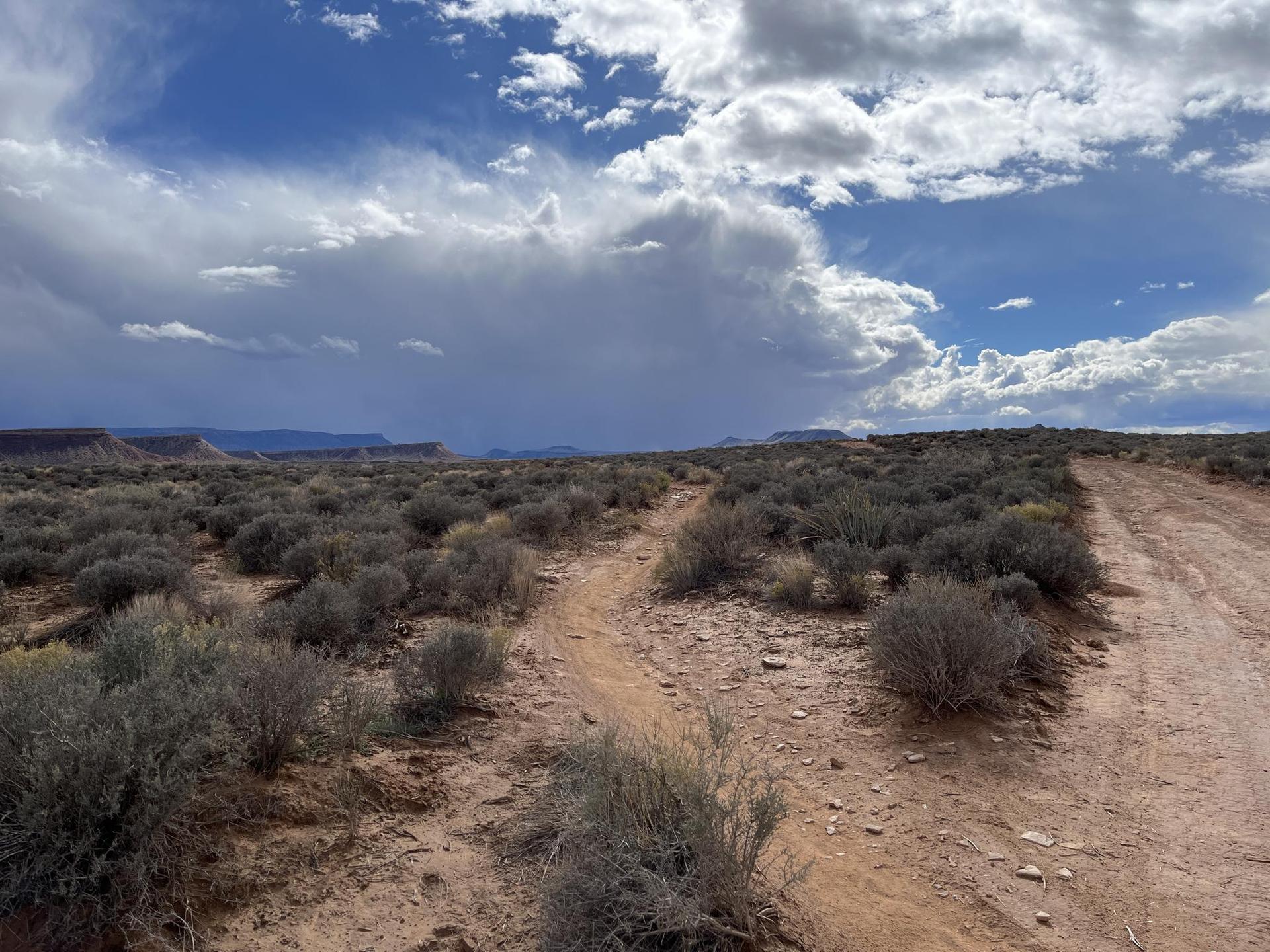 Dirt path through arid scrubland under dramatic cloudy sky.