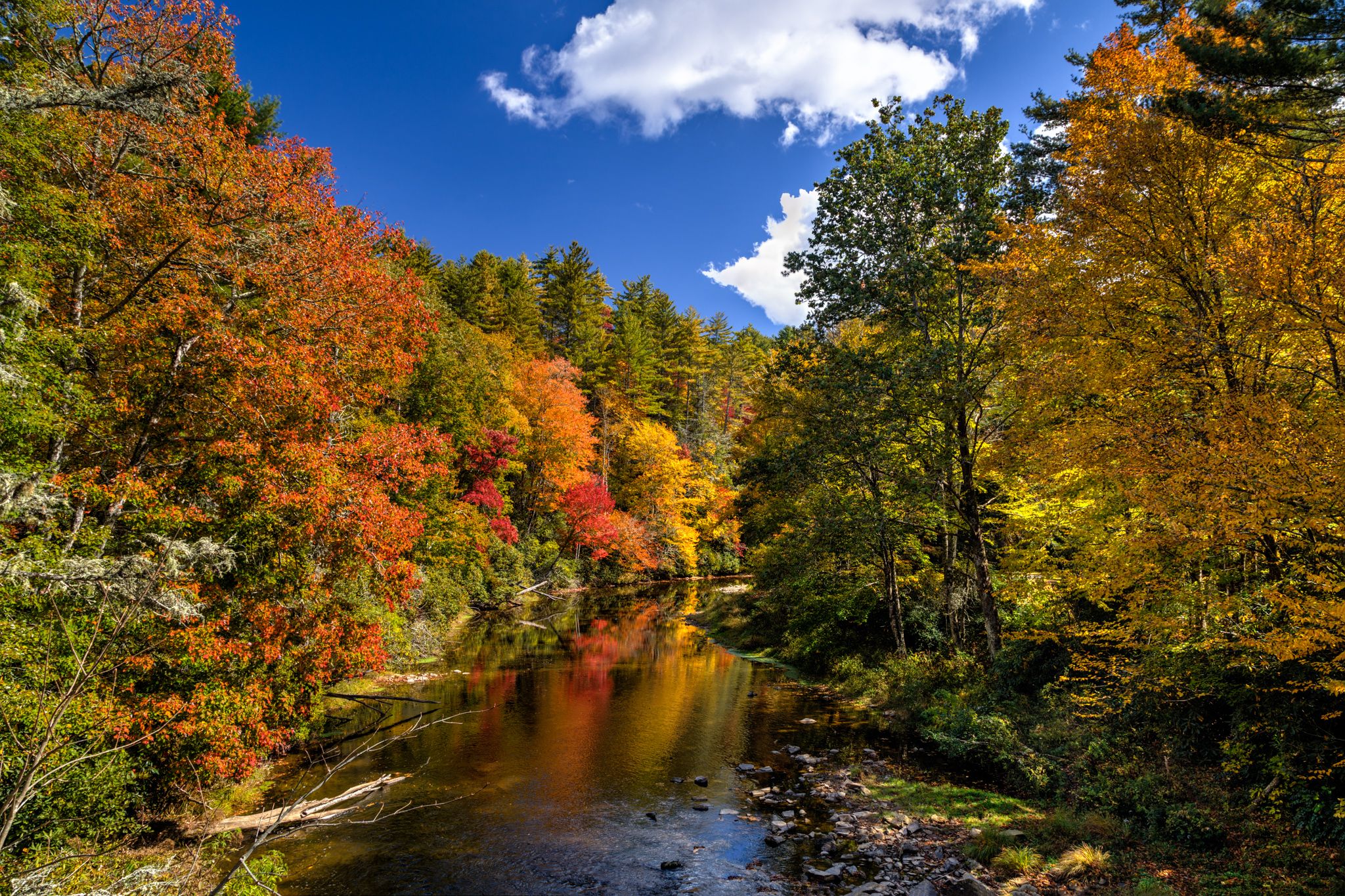 Vibrant autumn trees line a reflective river under a bright blue sky. - Linville Falls Picnic Area & Linville Falls Road — Blue Ridge Parkway