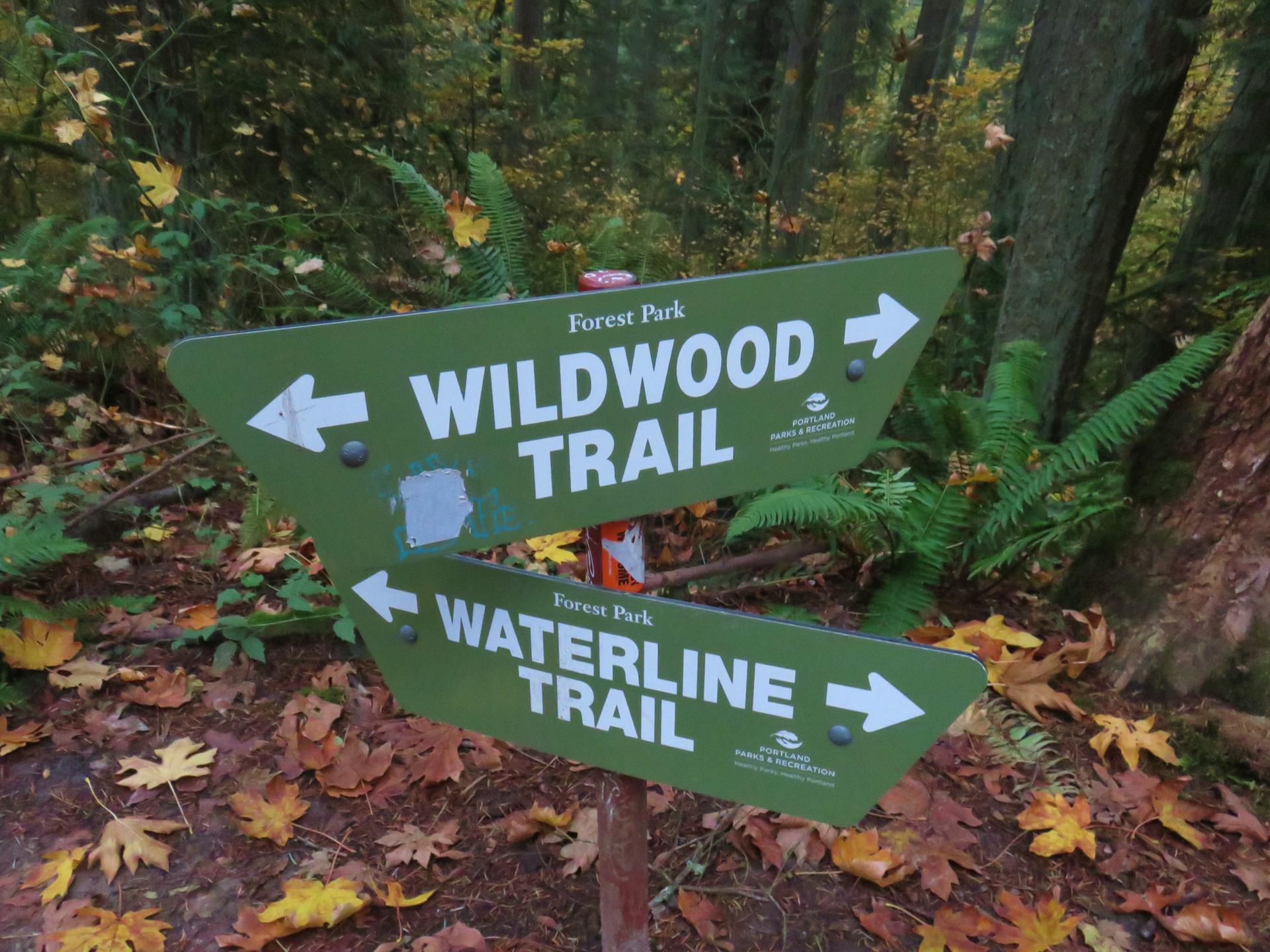 Two green trail signs point directions in a lush forest with autumn leaves.