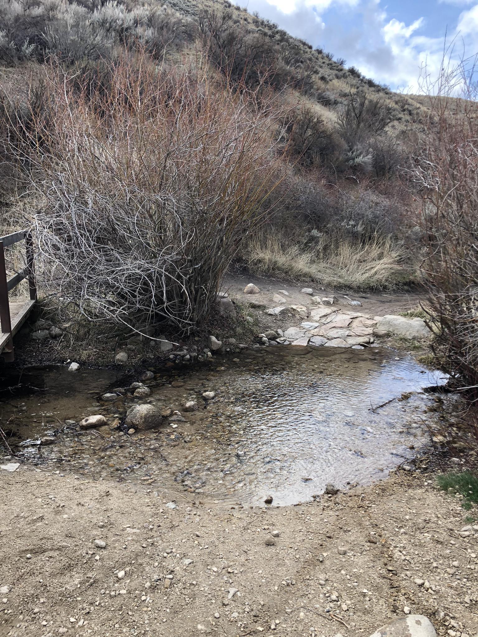 A small stream flowing over rocks, crossing a dirt path with a wooden bridge.