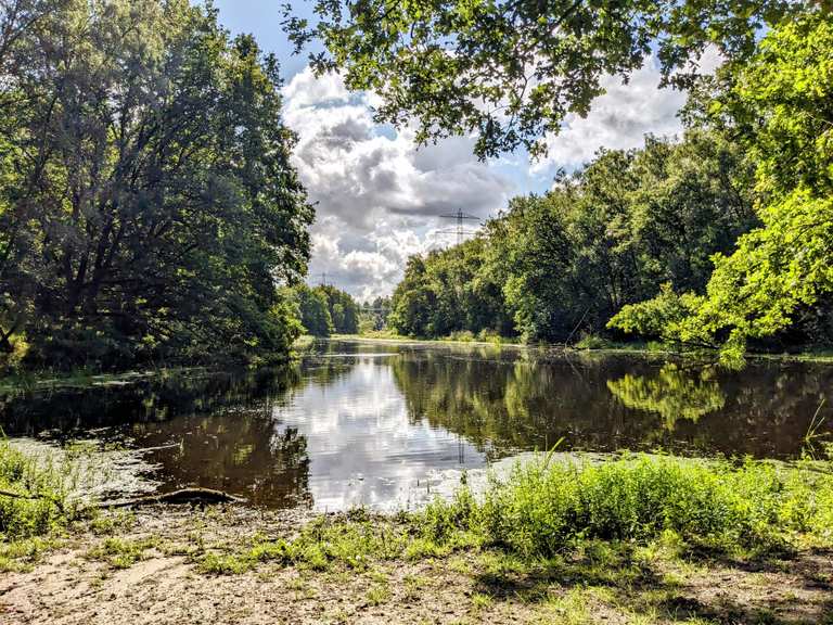 Ahrensfelder Weg Bredenbeker Teich Runde von Oldenfelde Fahrradtour